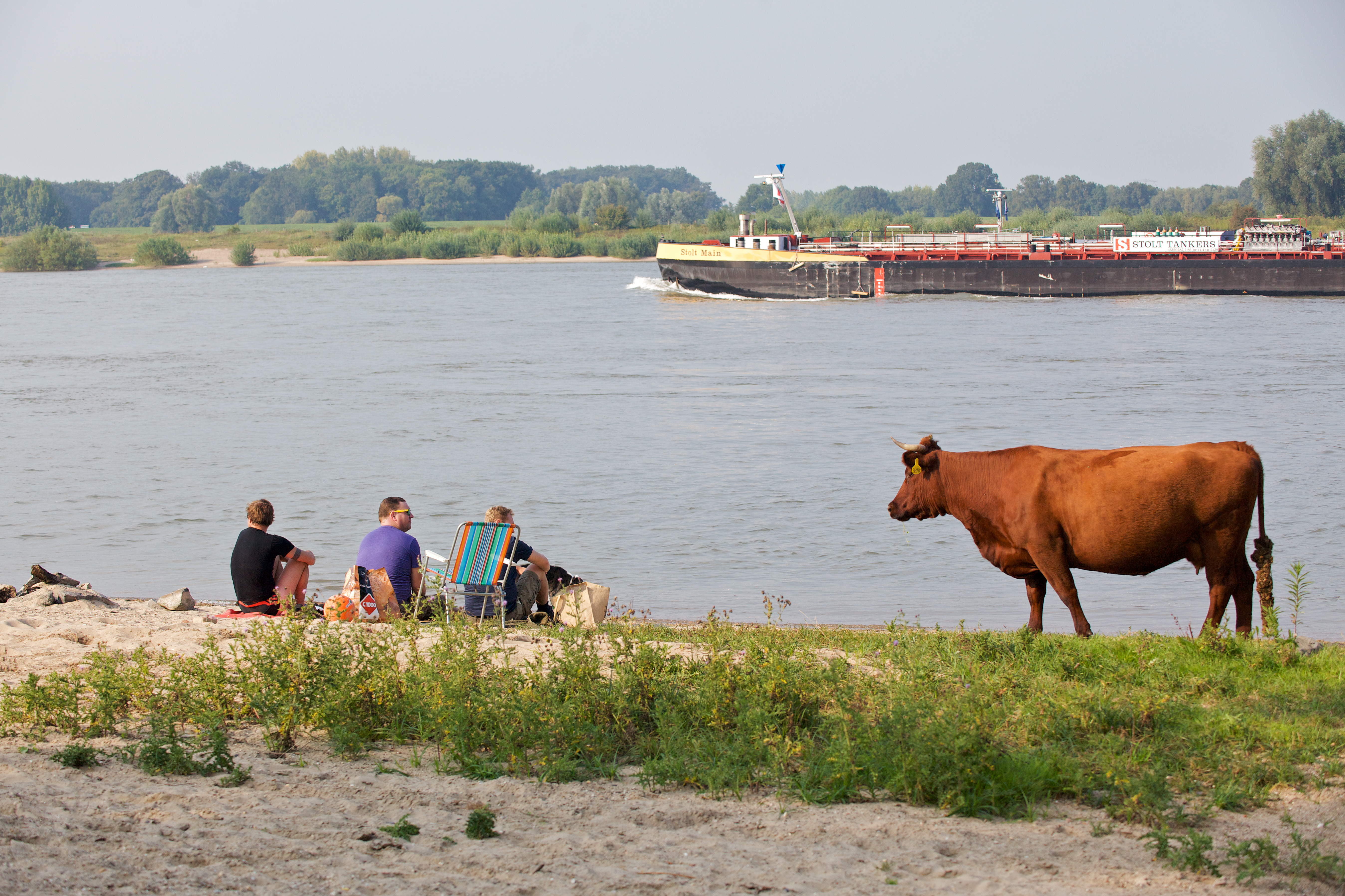Rode geus aan de waal. Foto: Karsten Reiniers
