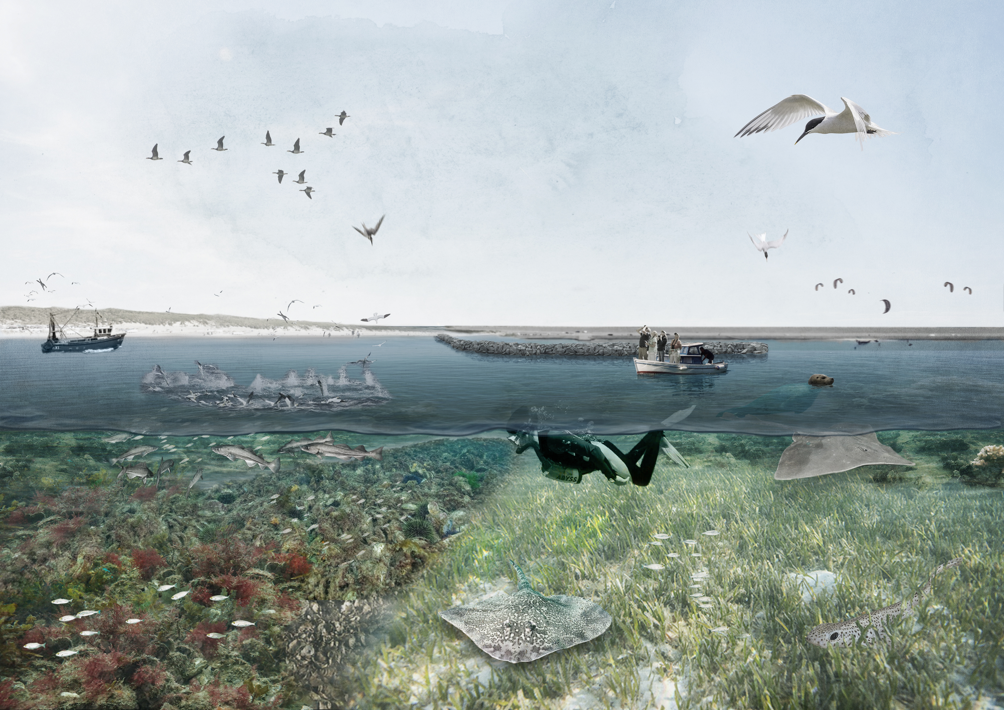 Voordelta Seascape Visual VD05