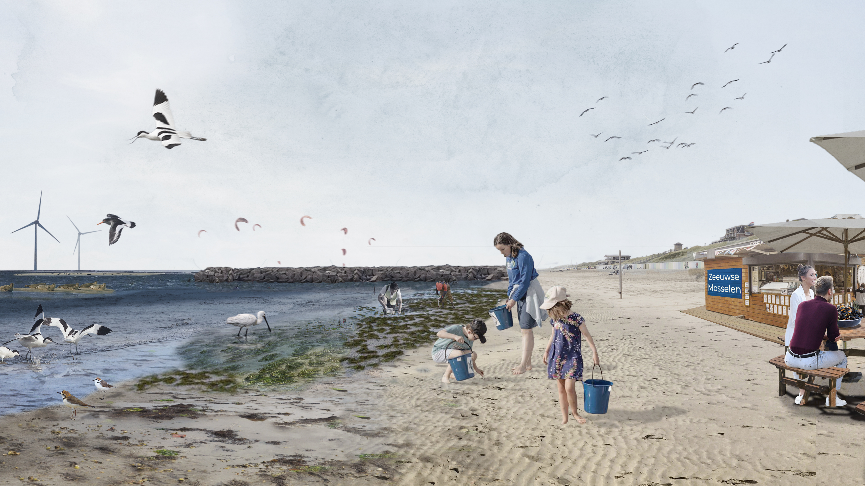 Seascape Voordelta Visual Kustlijn