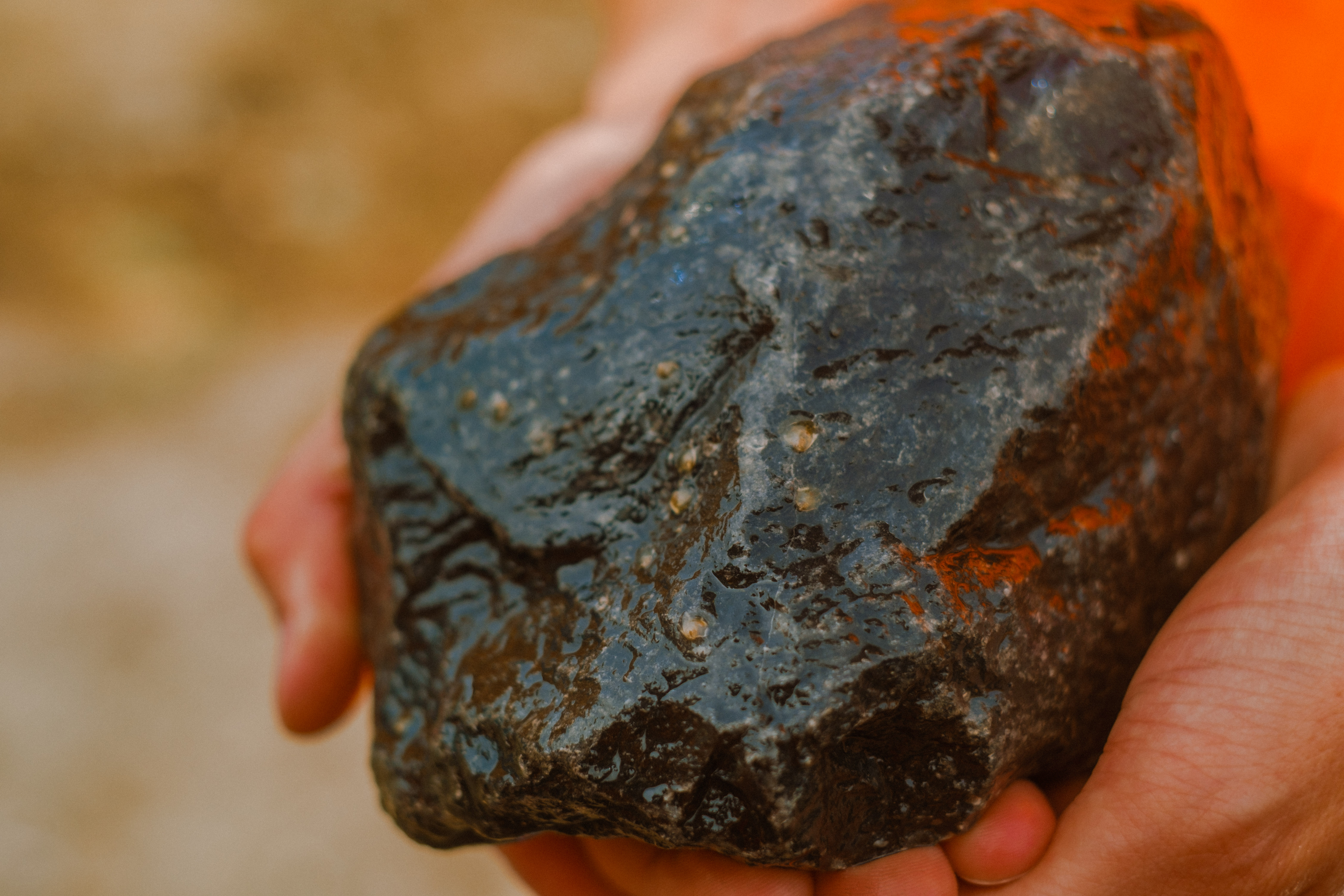 Stortsteen begroeid met jonge oesters. RESO project. 