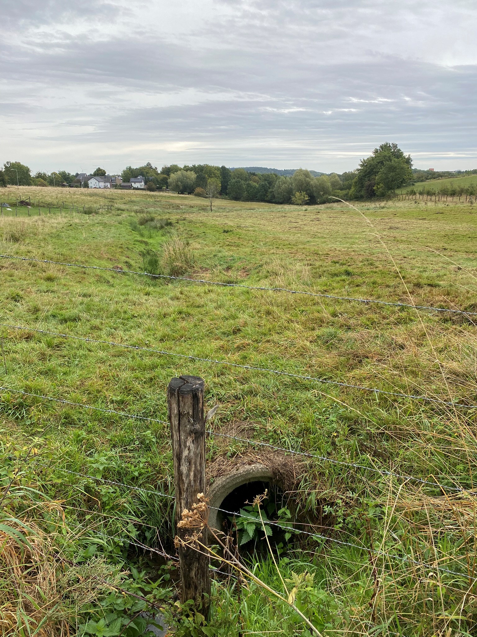 Hondsbohn en Vaalsmolenbroekerbeek voor