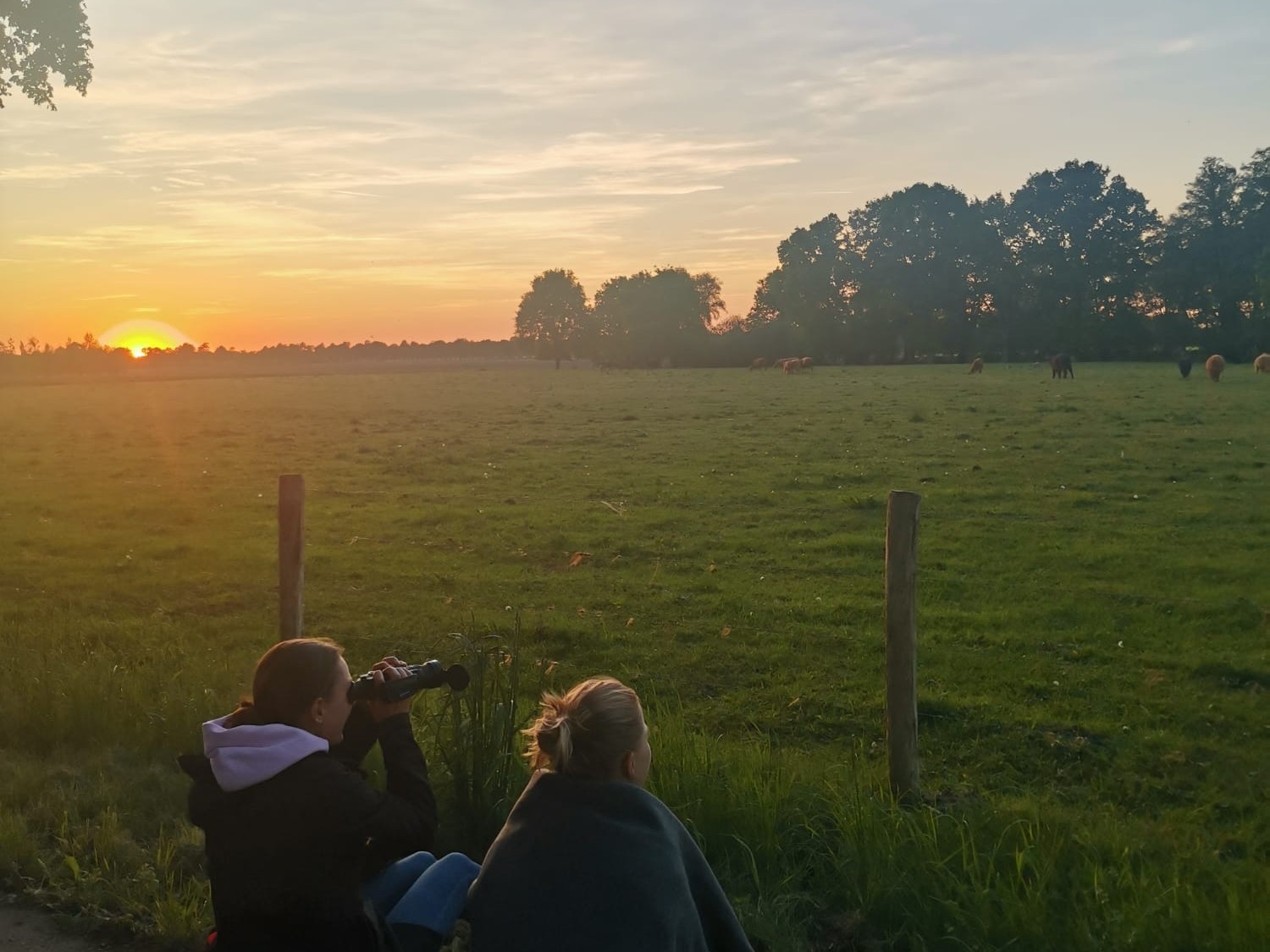 Observatie bij nacht