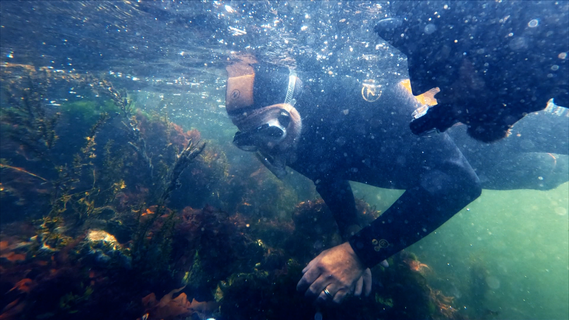 Wat houdt ons tegen - een zee van mogelijkheden