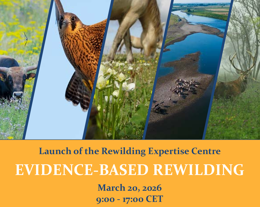 Symposium Evidence-Based Rewilding | ARK Rewilding Nederland