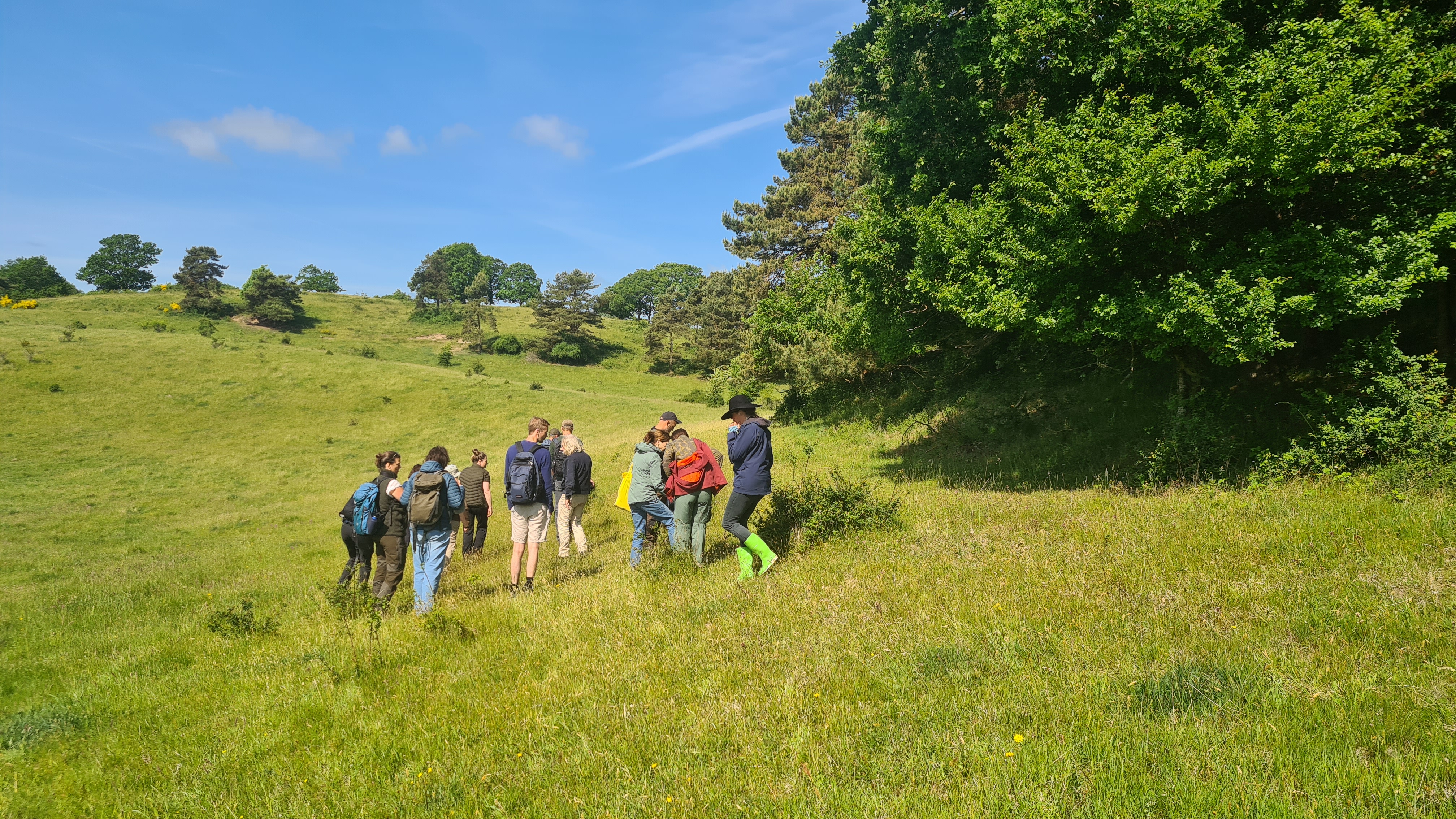 Studiereis Netwerk Denemarken 2025 Mols Bjerge national park