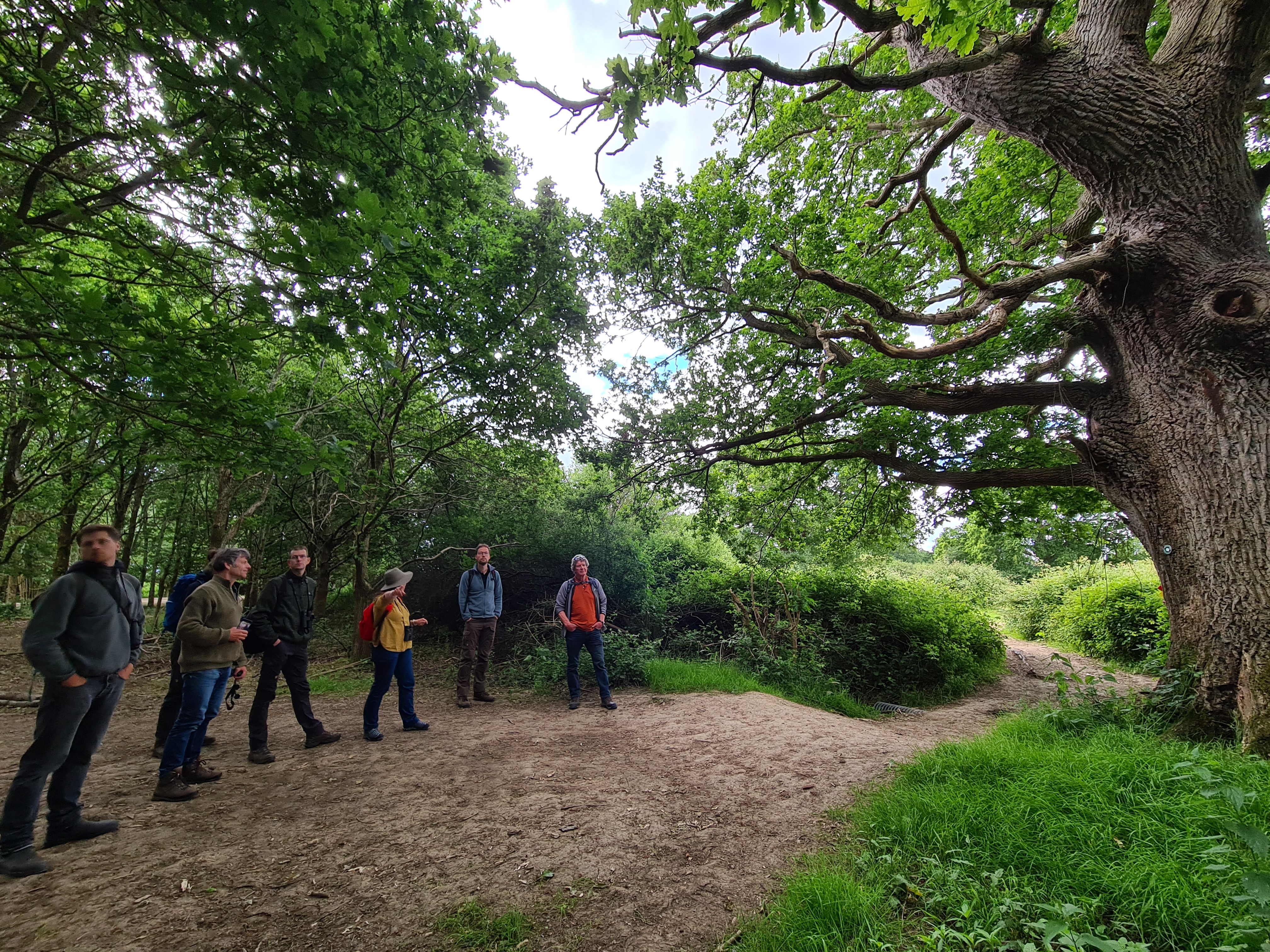 Op studiereis naar Knepp Estate in 2024 met partners van programma rewilding de Veluwe en rewildinginitiatieven