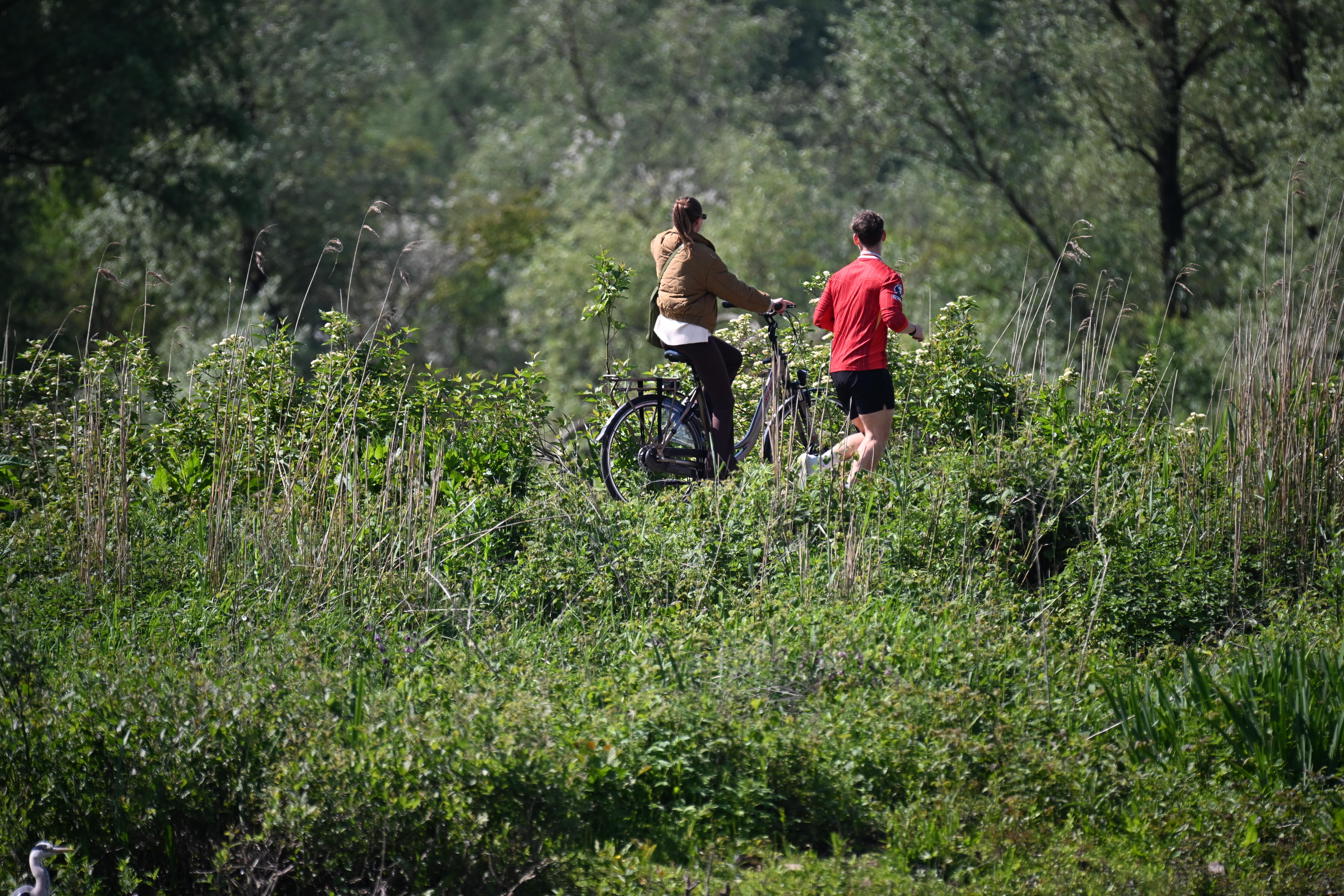 Fietsers in Meinerswijk