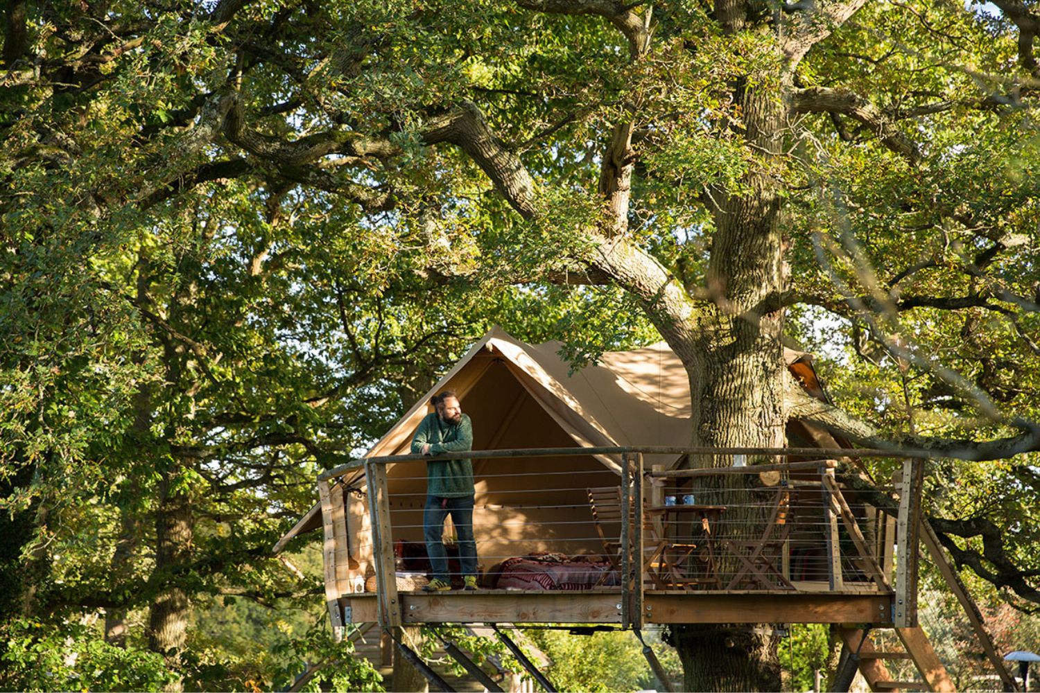 Boomhut Knepp Estate