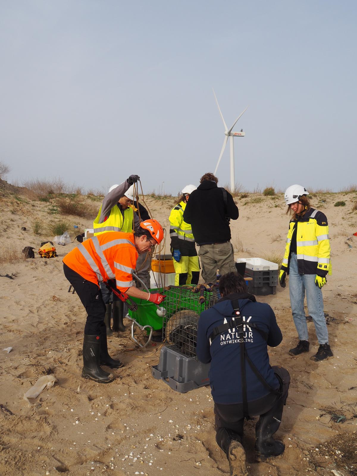 Alle partners bij monitoring RESO. Celeste Hesp, ARK Rewilding Nederland