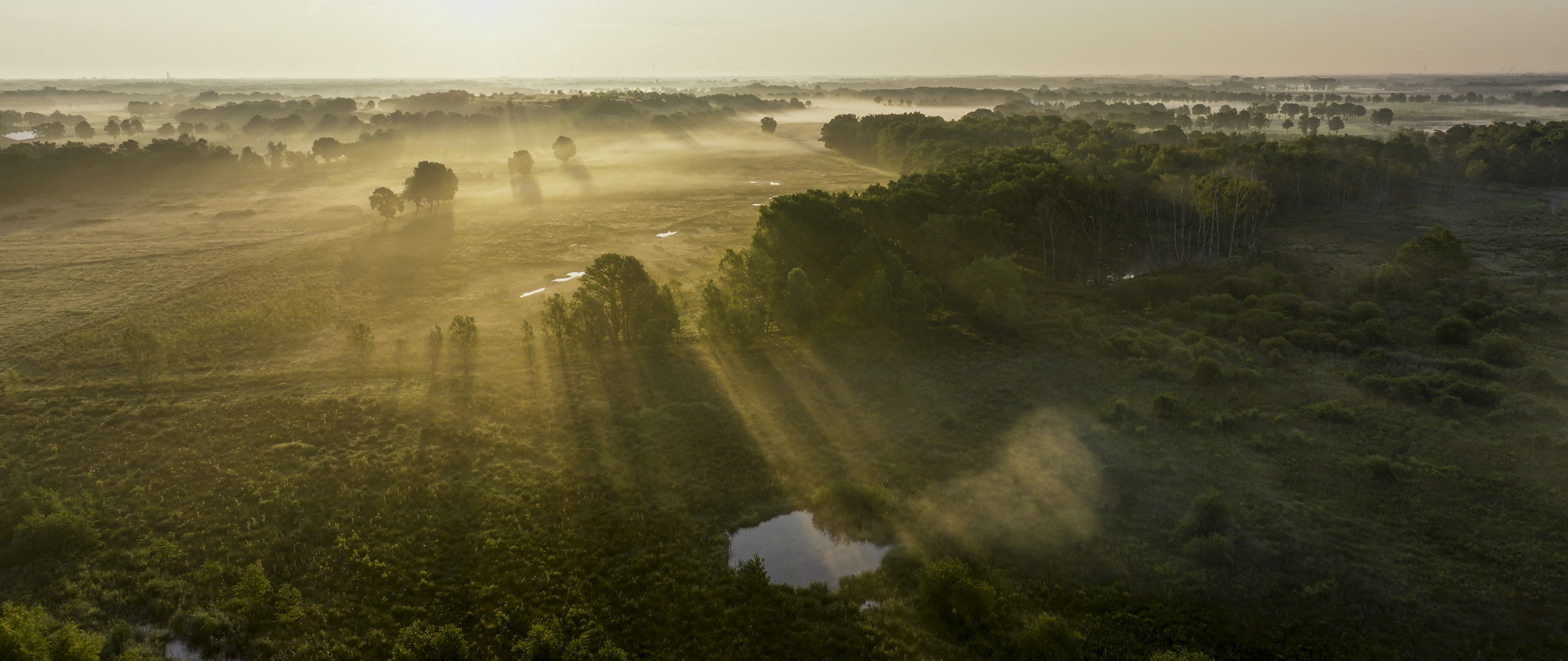 Rewilding in het KempenBroek