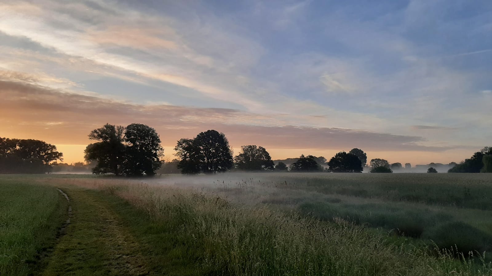 Zonsopkomst op Groot Duijfhuis