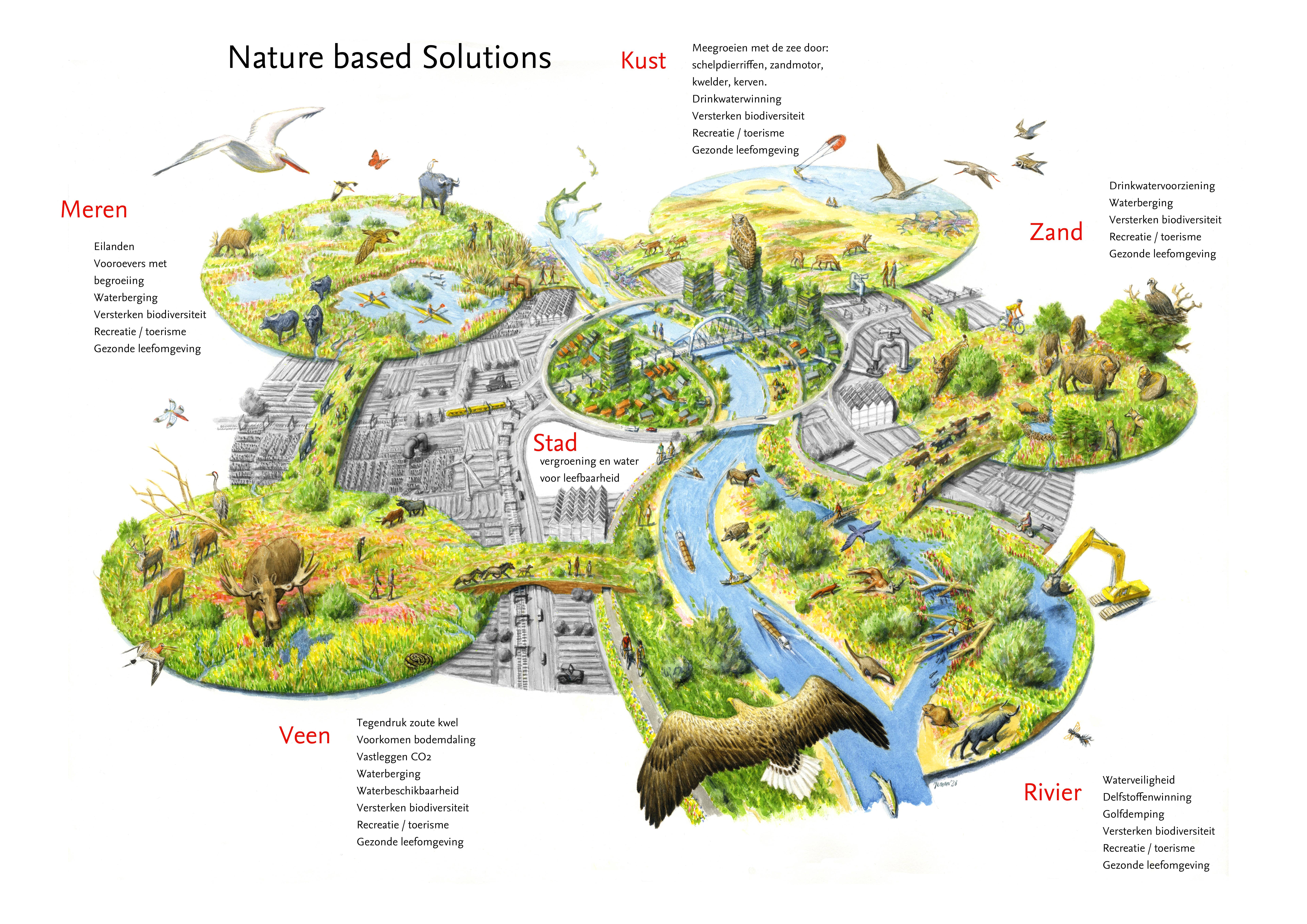 Tekening Jeroen Helmer Nature-based solutions