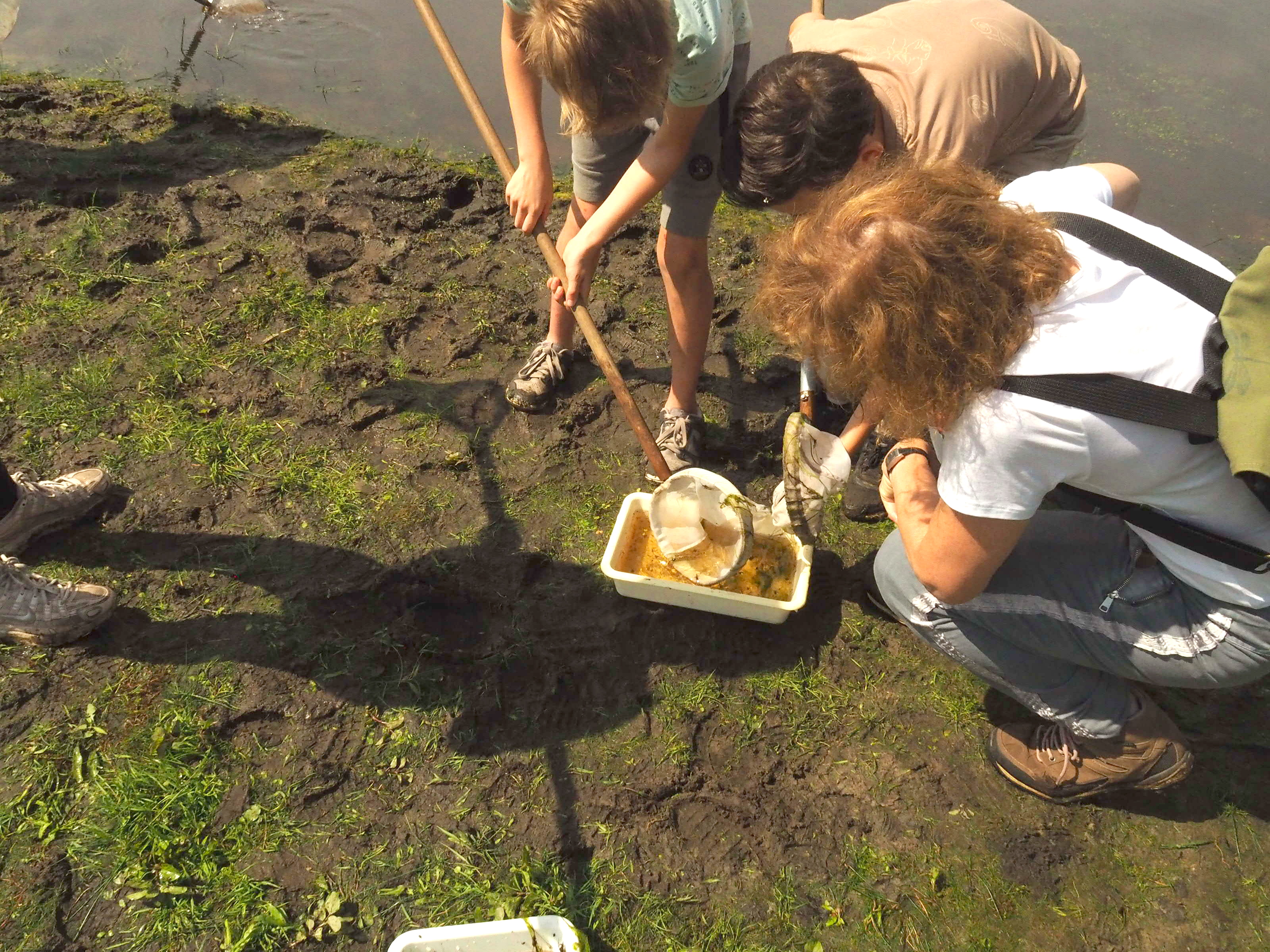 Volop waterbeestjes in het KempenBroek