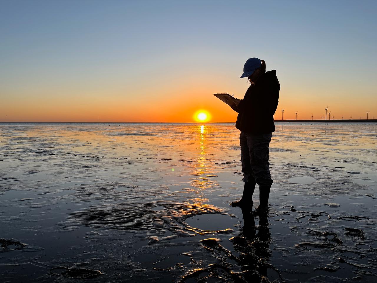 Zonsondergang op de Slikken van Voorne