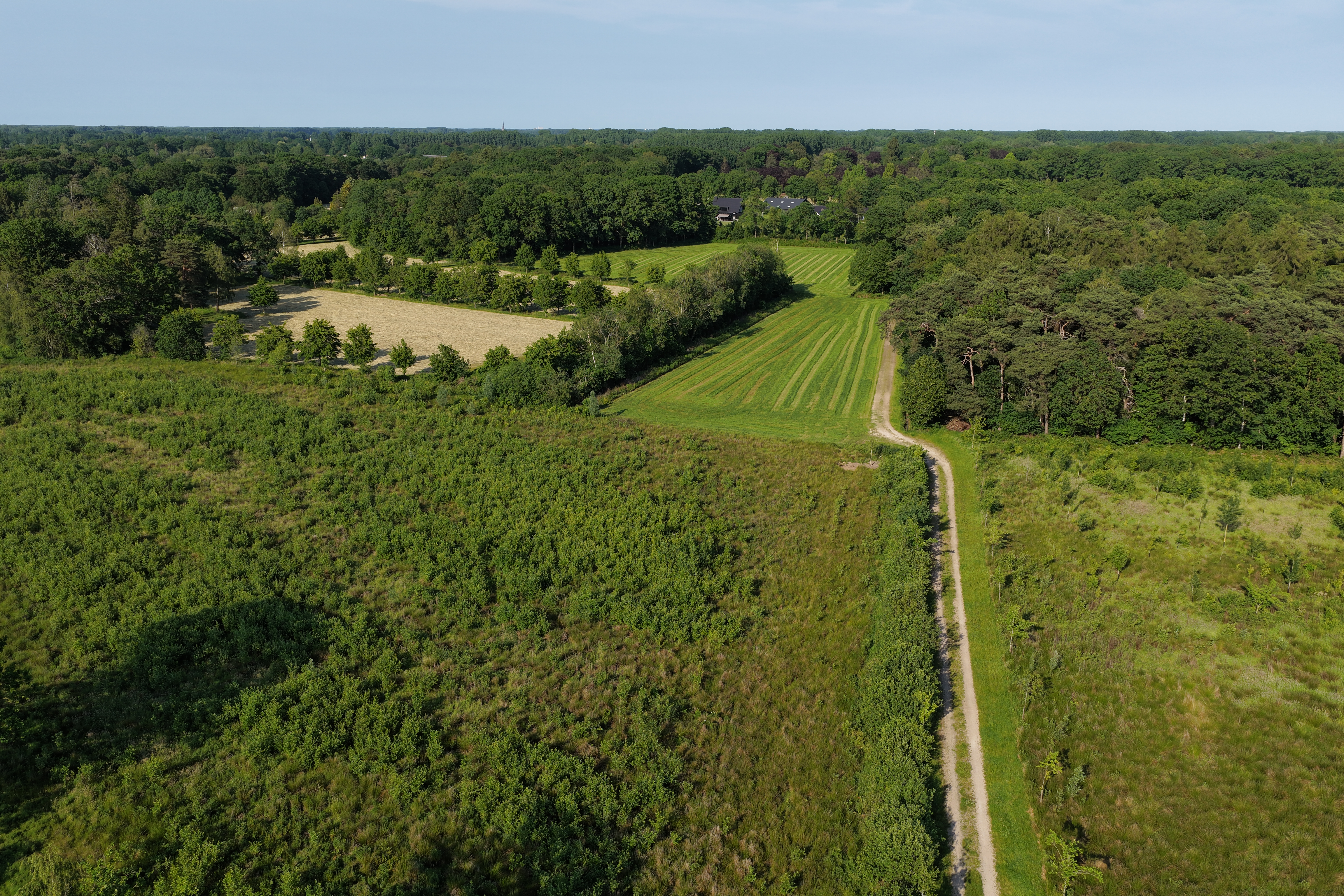 Het Groene Woud_De Hemel_luchtfoto_Wiebe de Jager_NIS_ARK Rewilding Nederland