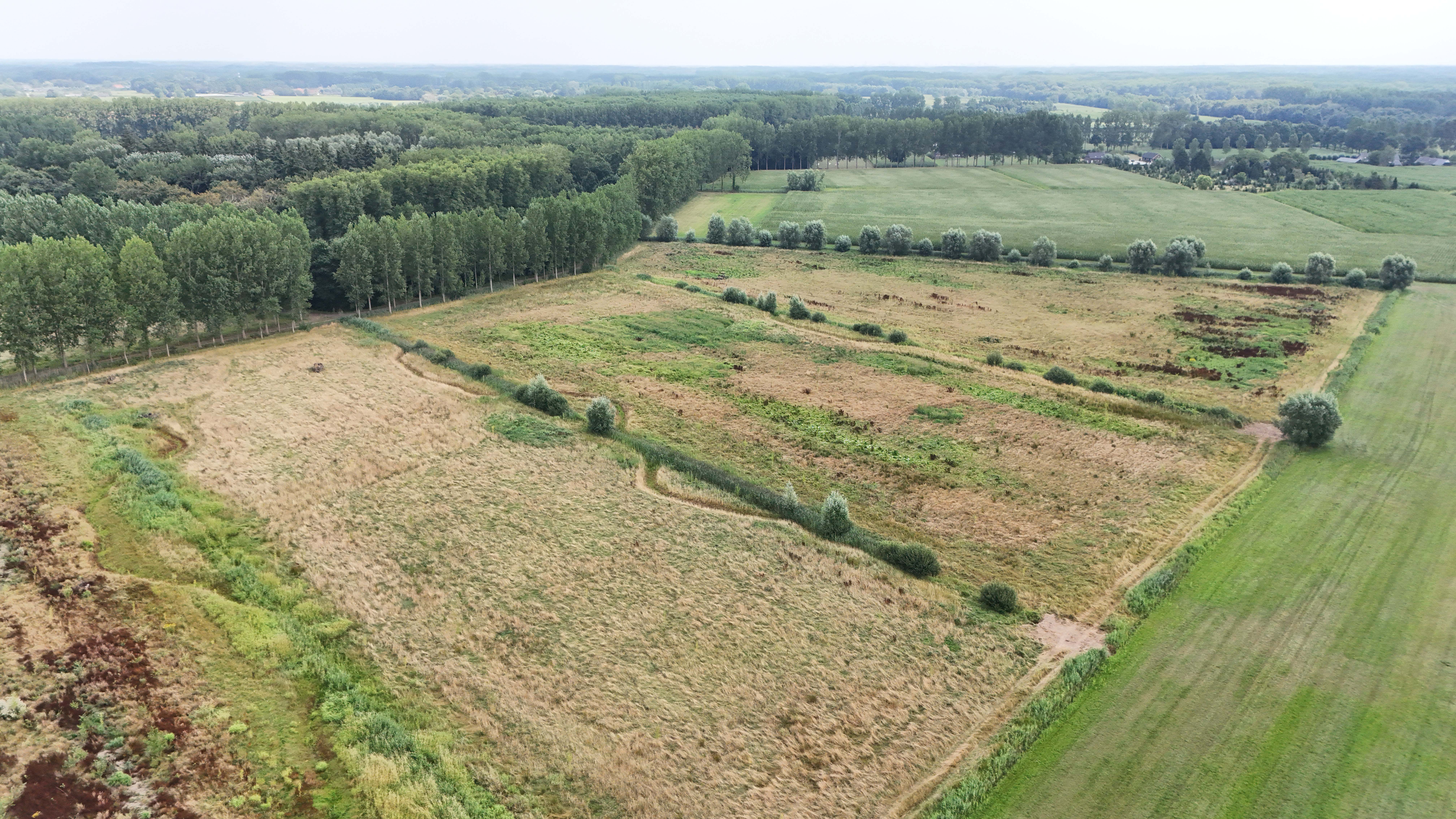 Droneopname van het Elderbroek