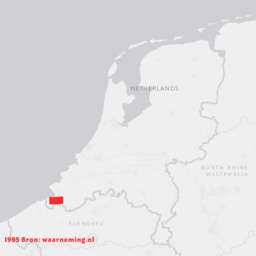 Gif waarop de toename van de graszanger sinds 1985 wordt weergegeven