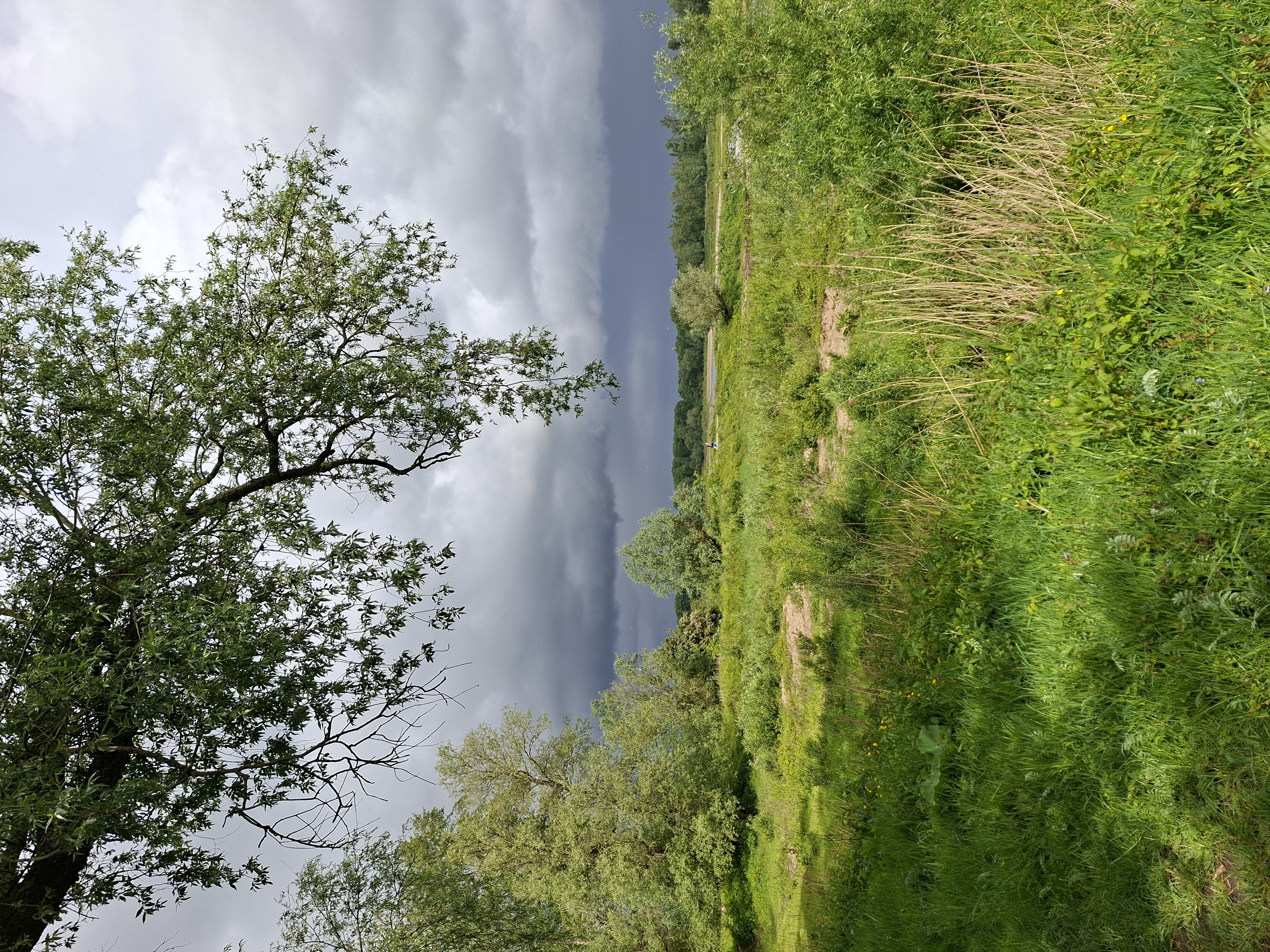 Millingerwaard – open mozaïek landschap 