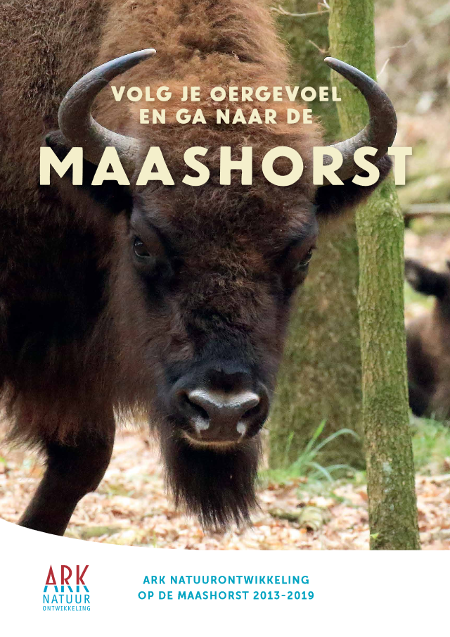 ARK Rewilding Nederland op de Maashorst 2013-2019
