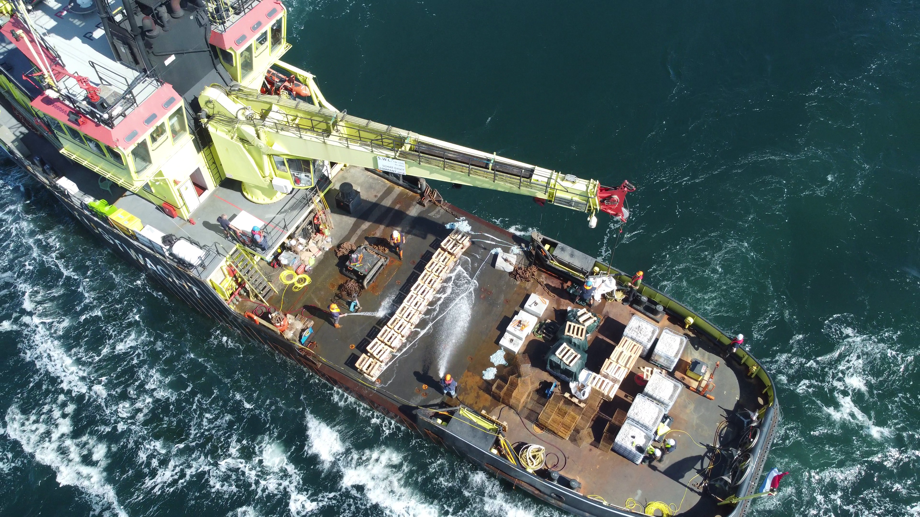 ARK Rewilding Nederland zet oesters uit bij de Borkumse Stenen. Credit: Ernst Schrijver