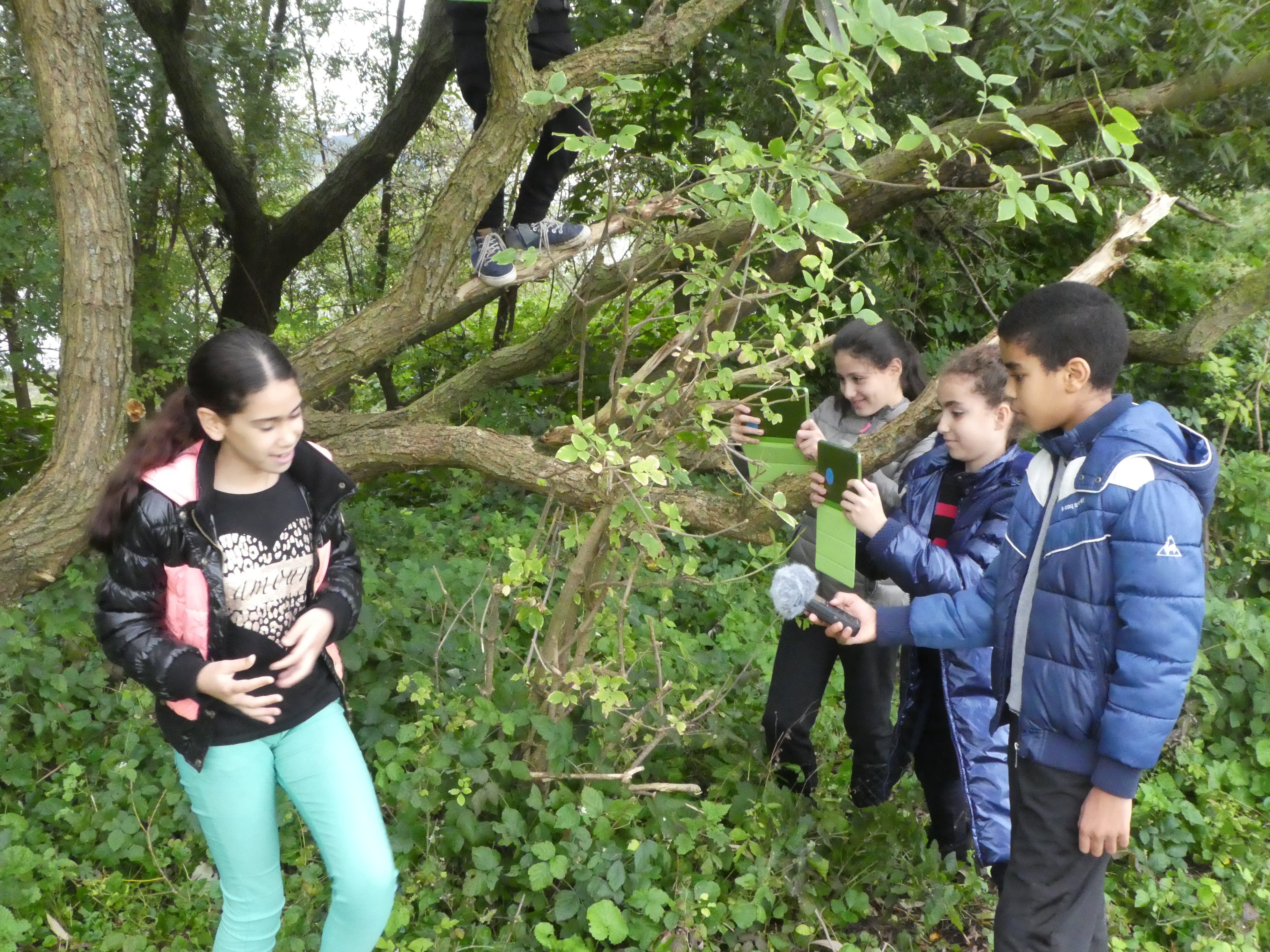 Filmen op het Eiland van Brienenoord