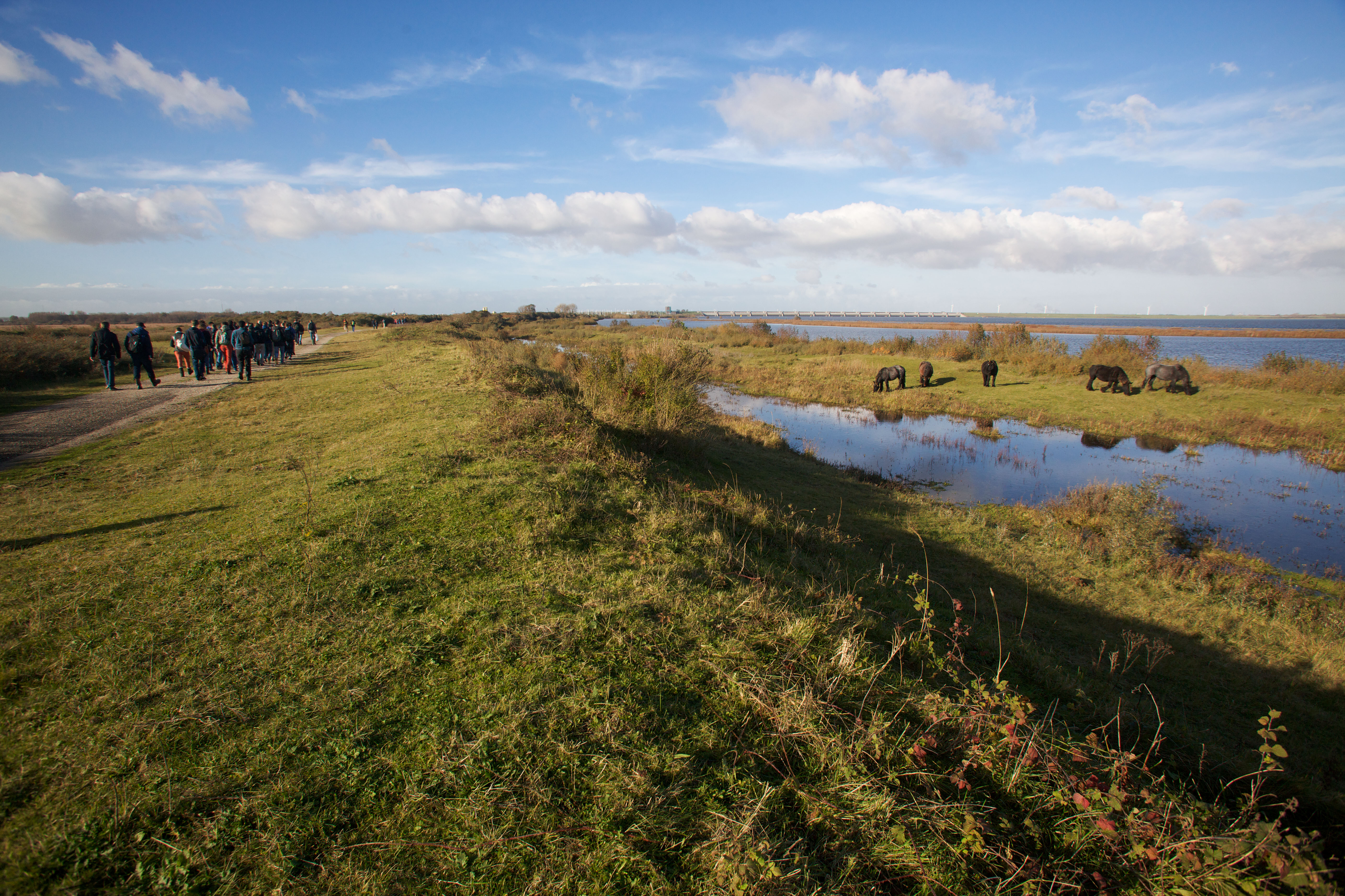 Plaat van Scheelhoek