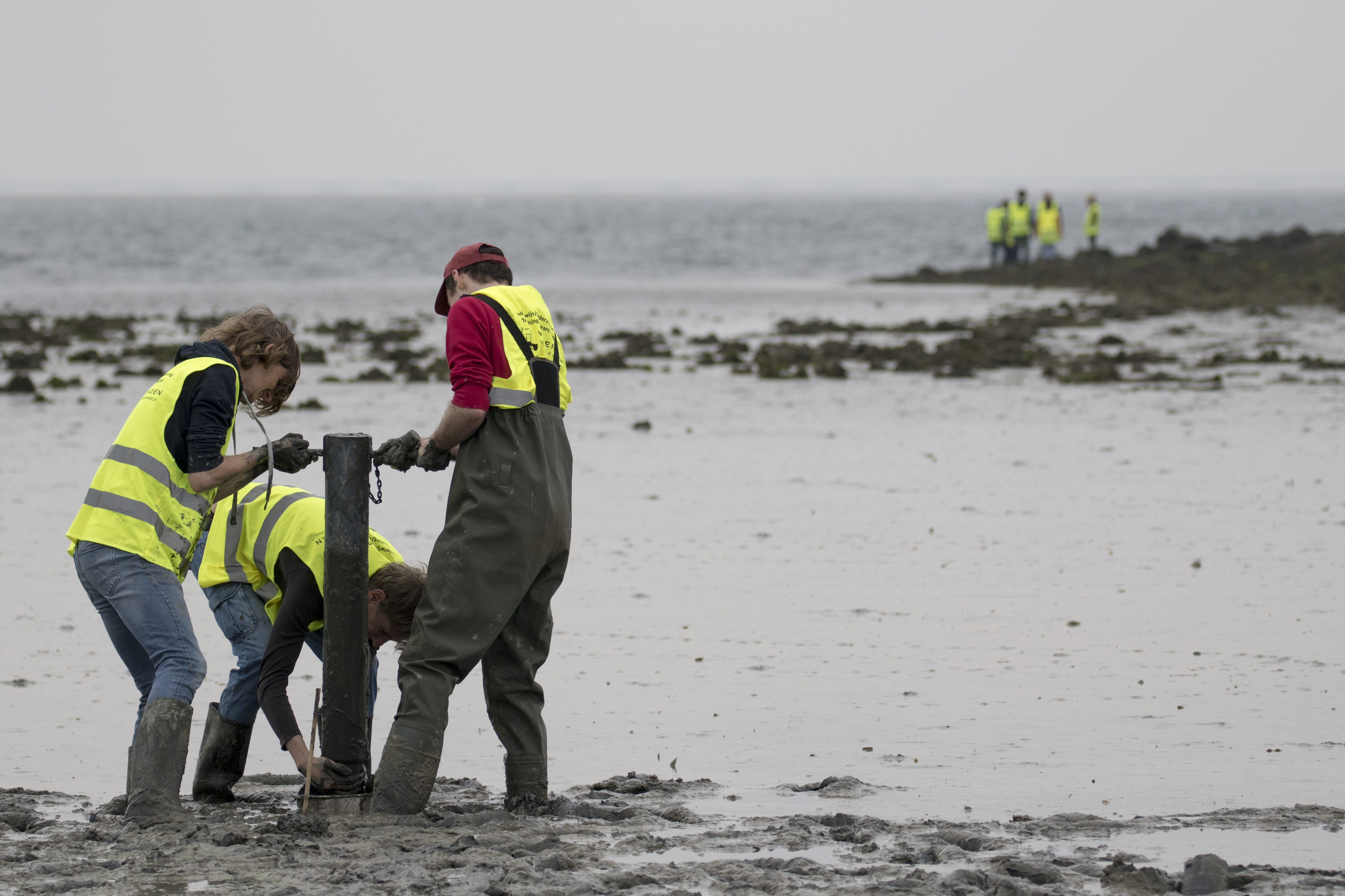 Studenten van de Wageningen Universiteit op pad langs de Oosterschelde en de Noordzee