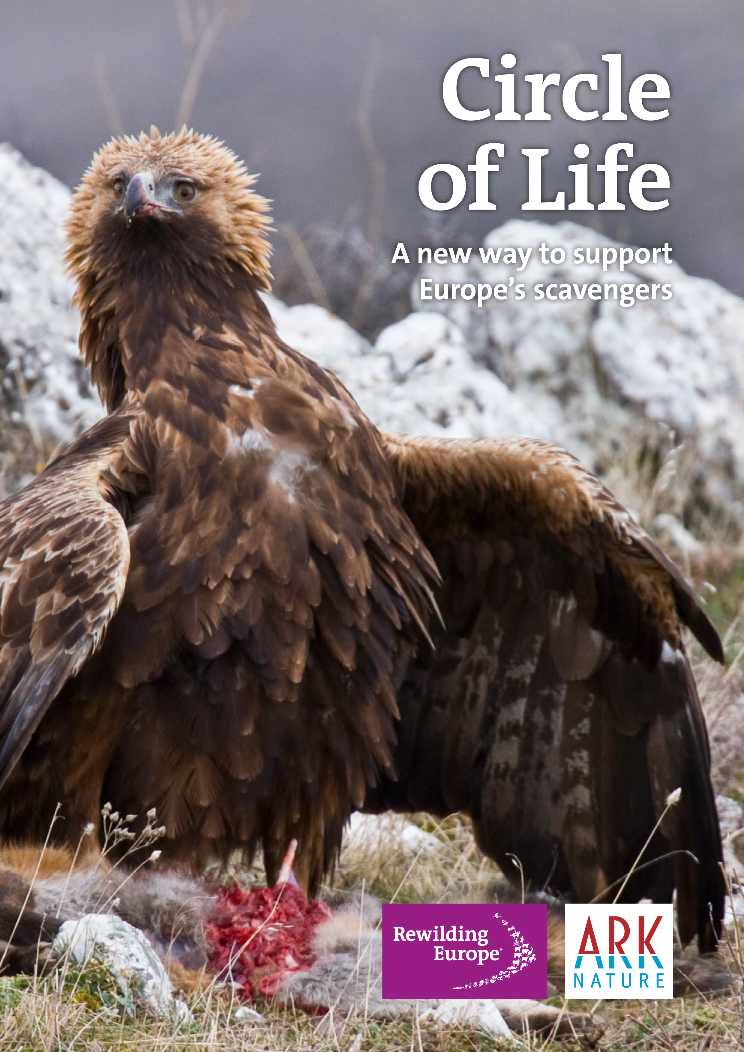 Brochure Circle of Life