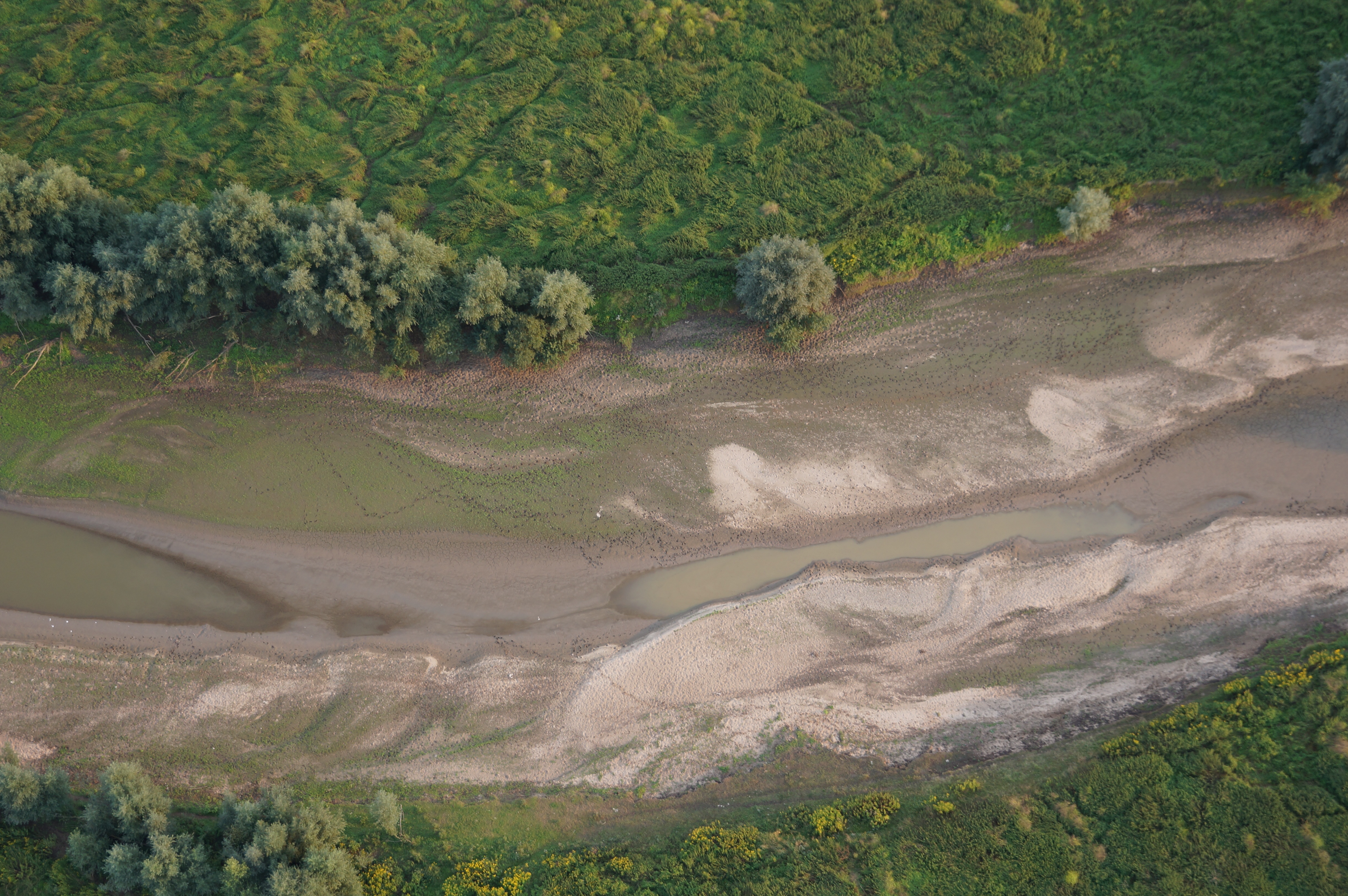 Laag water in de nevengeul Klompenwaard