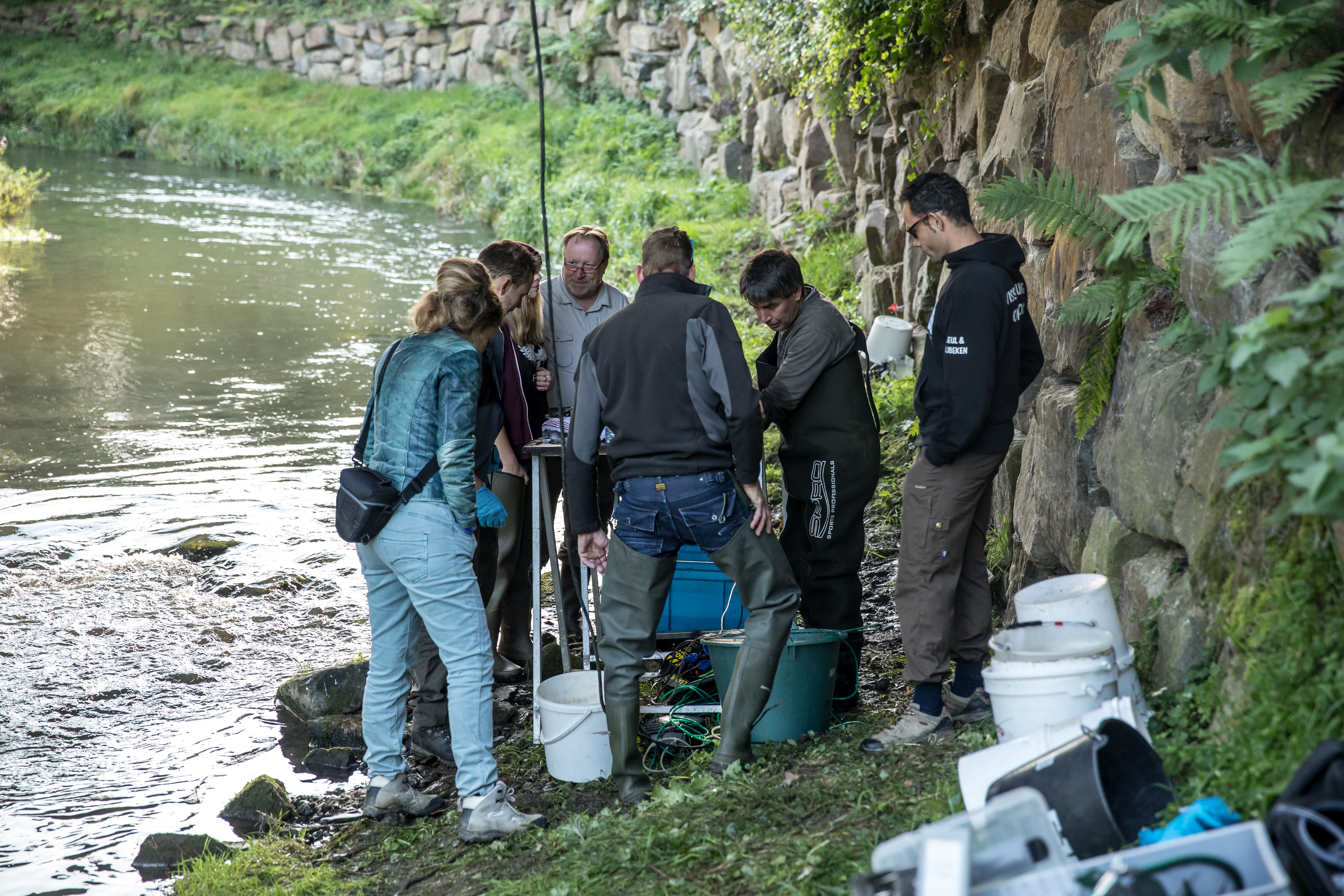 Zalm uit de Geul, foto: Aron Nijs Fotografie