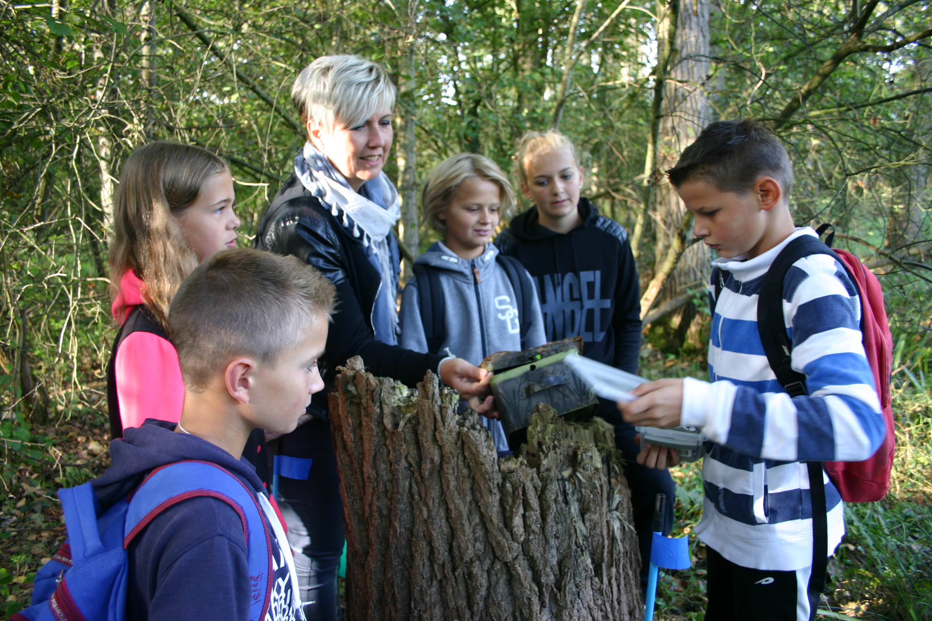 Veldlessen in Het Groene Woud
