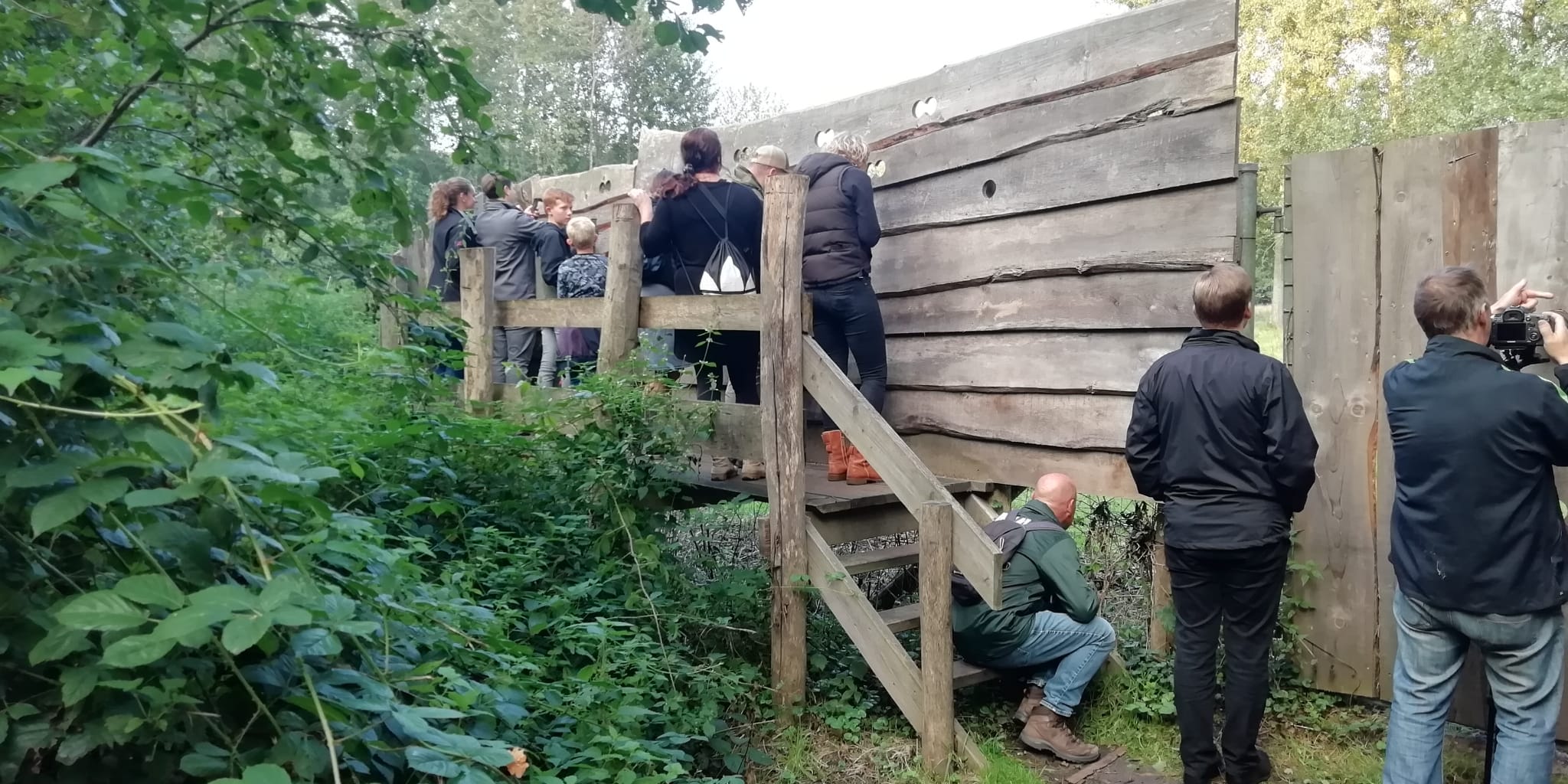 Edelherten spotten bij het kijkscherm. Foto: Arnold van den Broek