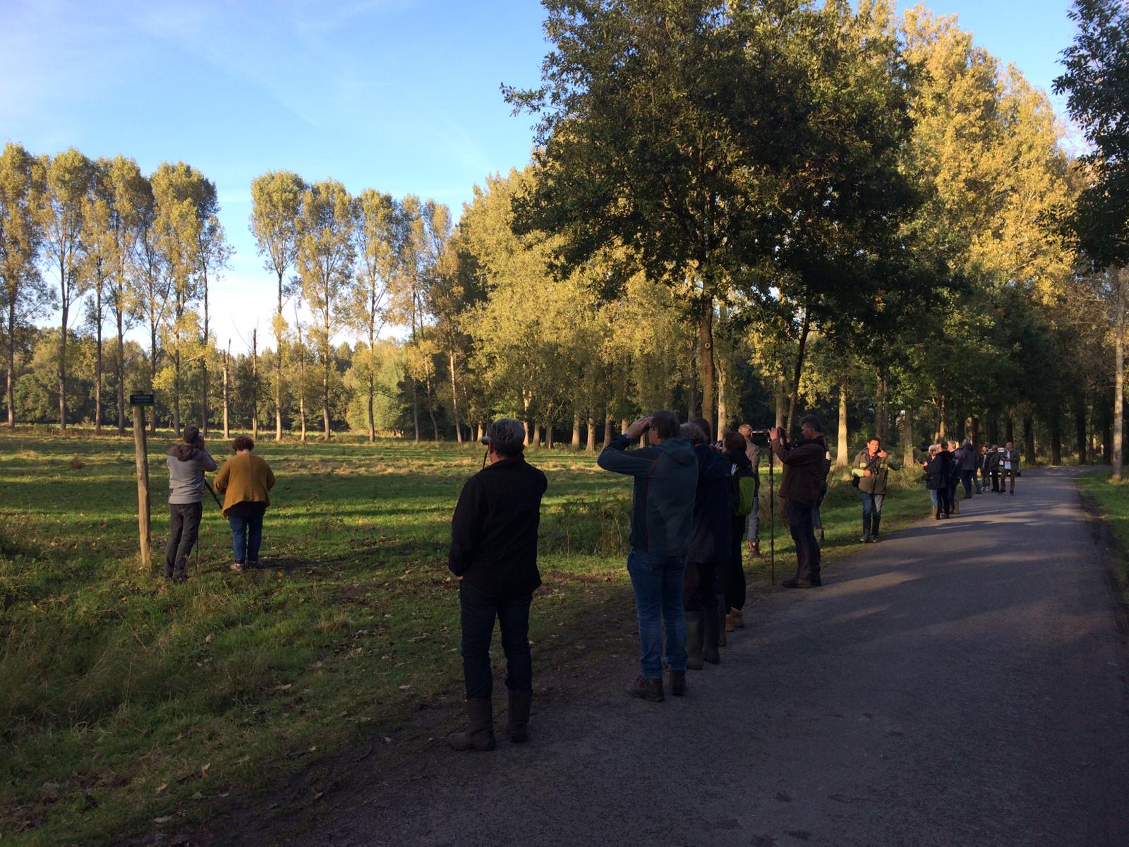 Bezoekers genieten van de edelhertenbronst in Het Groene Woud