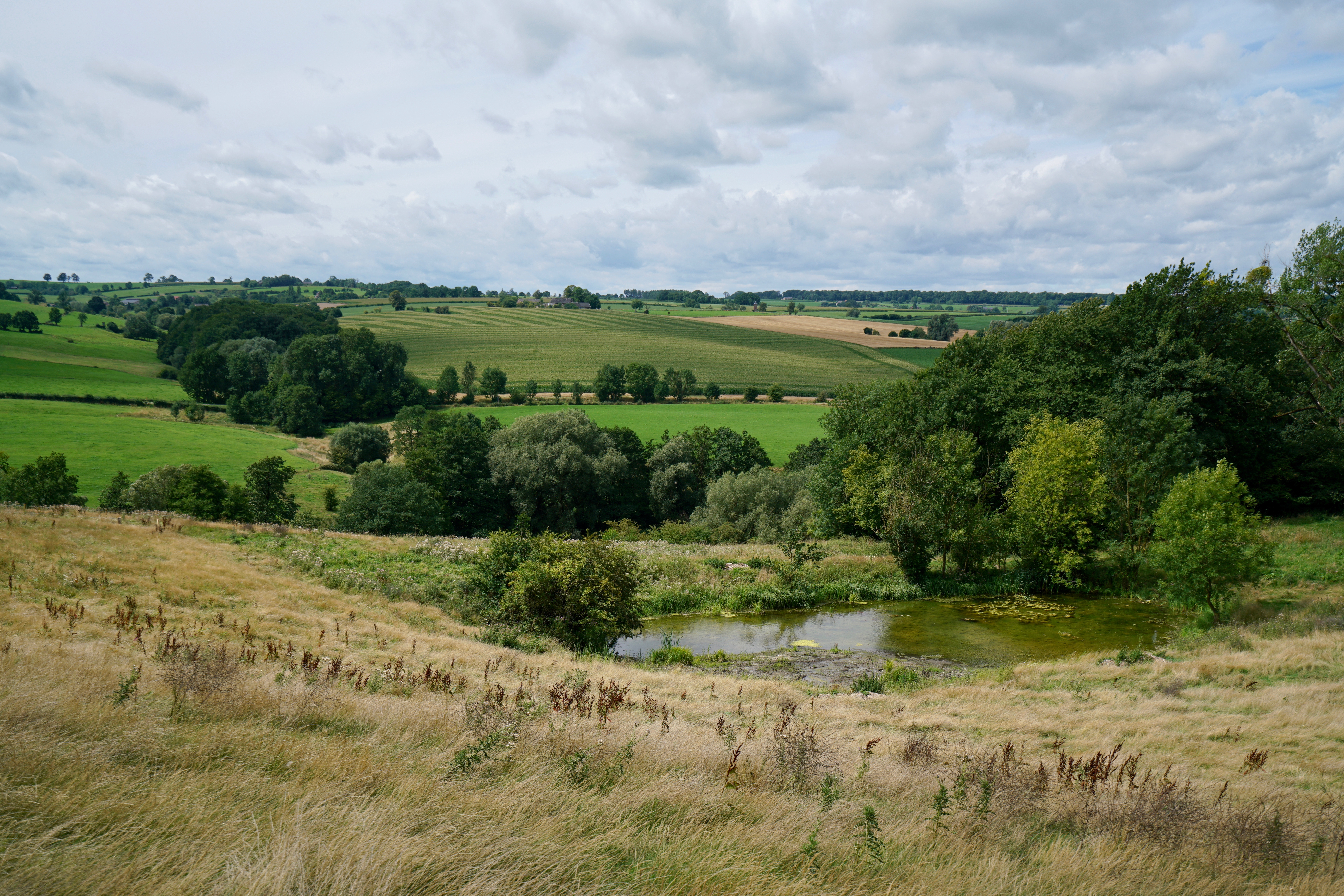 Gulpdal. Foto: Twan Teunissen