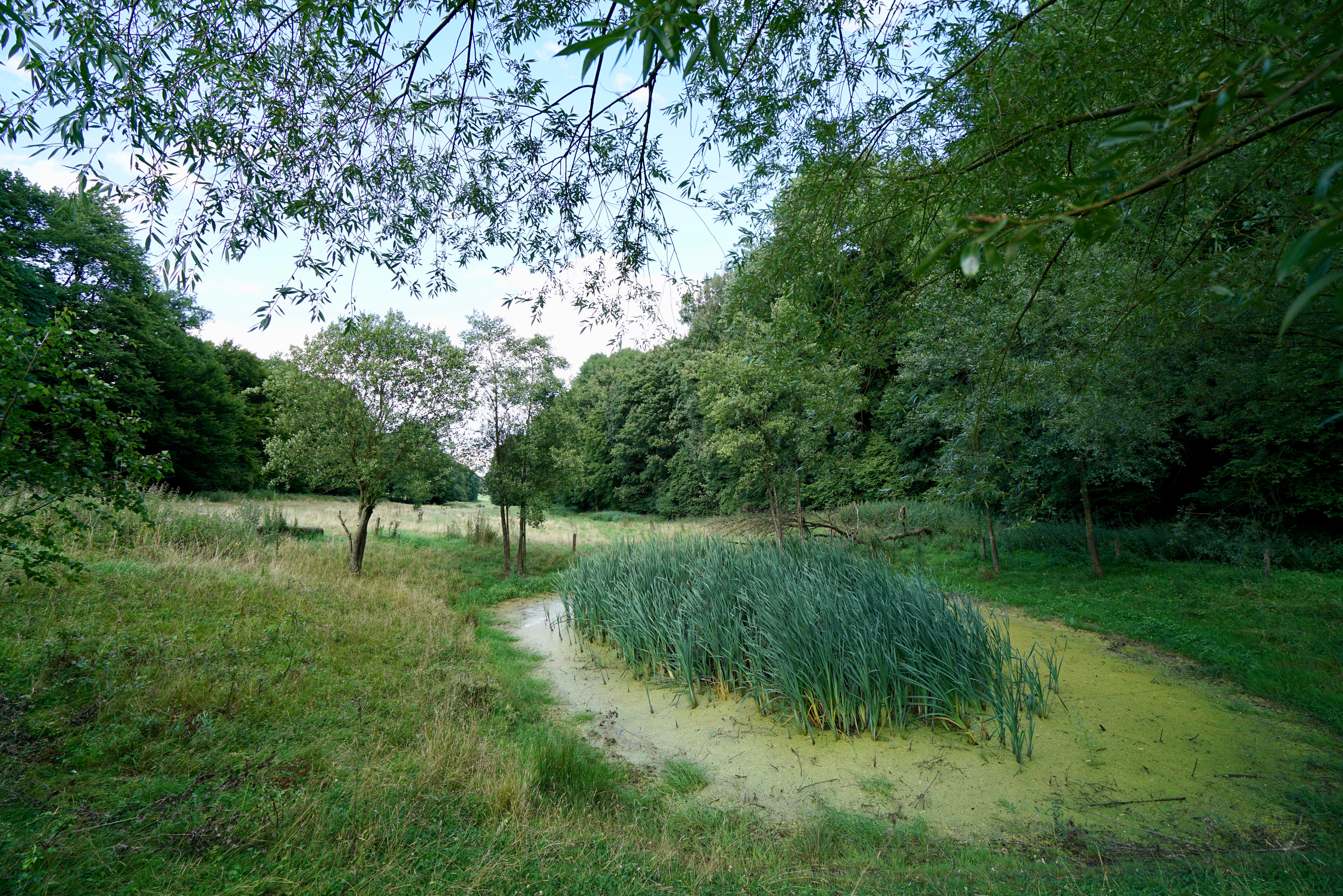 Langer vasthouden van water tegen wateroverlast en voor nieuwe natuur