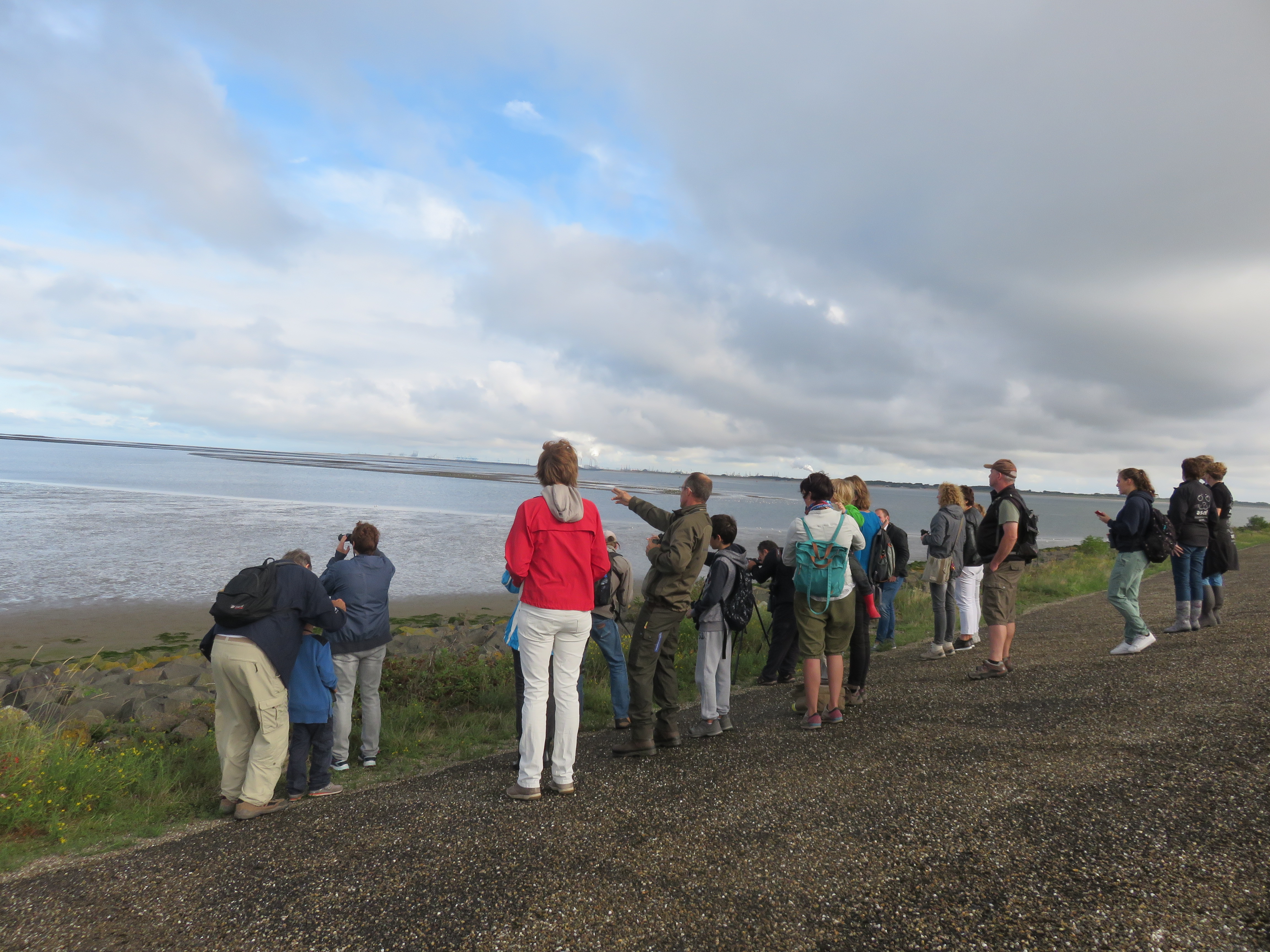 Vogelexcursie langs het Haringvliet