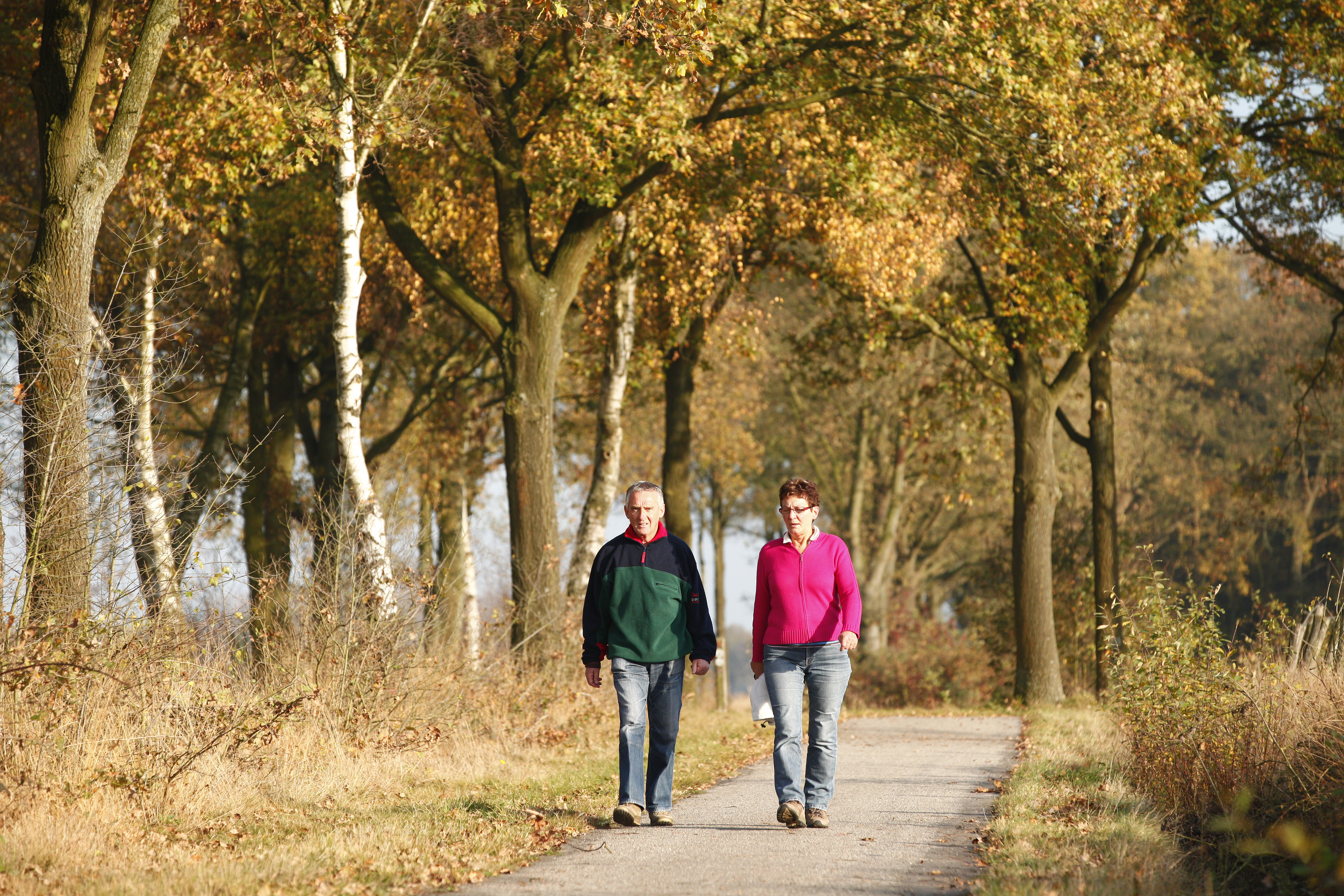 Wandelen op de Stramprooierheide. Foto: Bob Luijks
