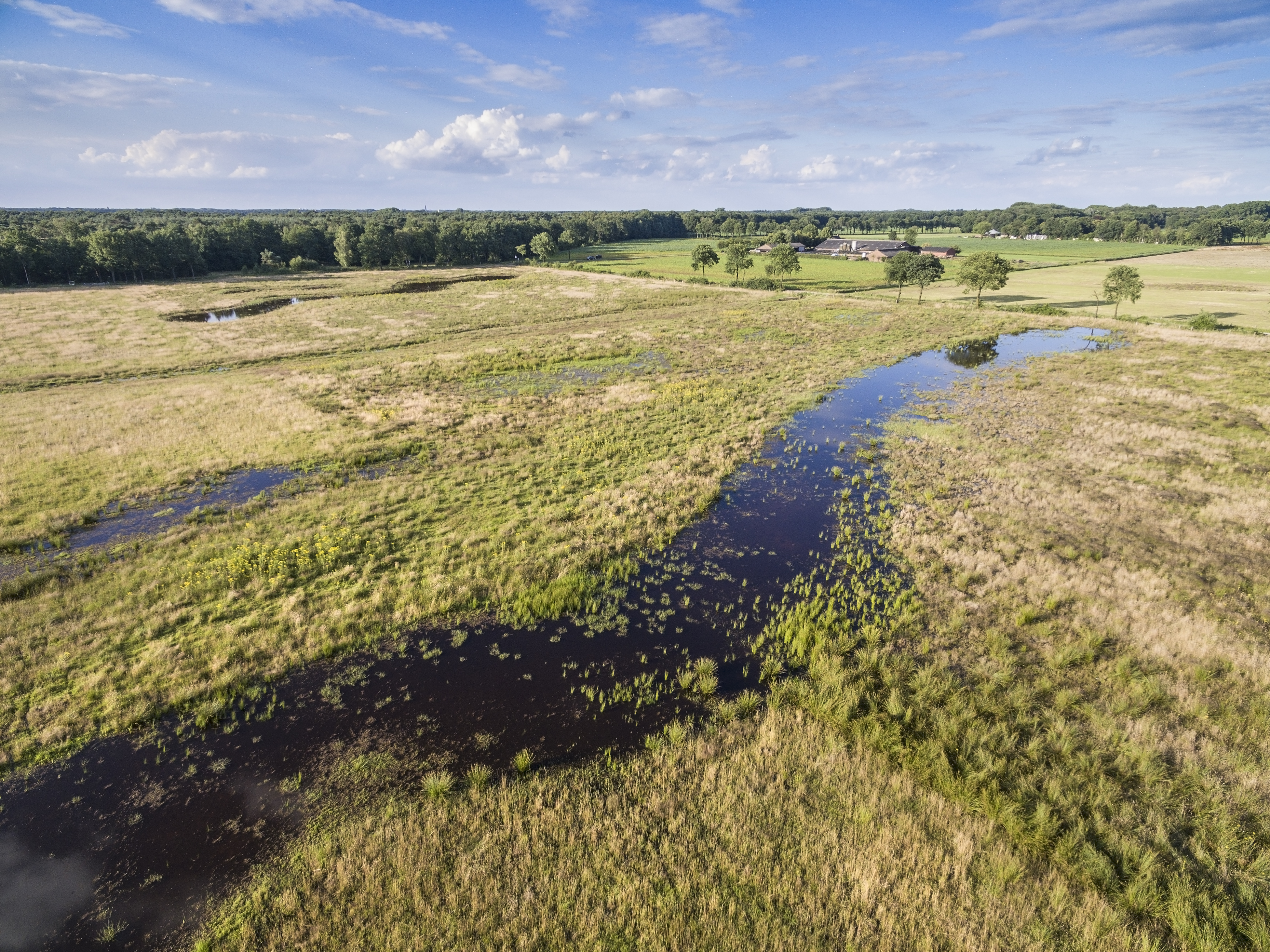 Klimaatbuffer Raamweide, foto: Bob Luijks