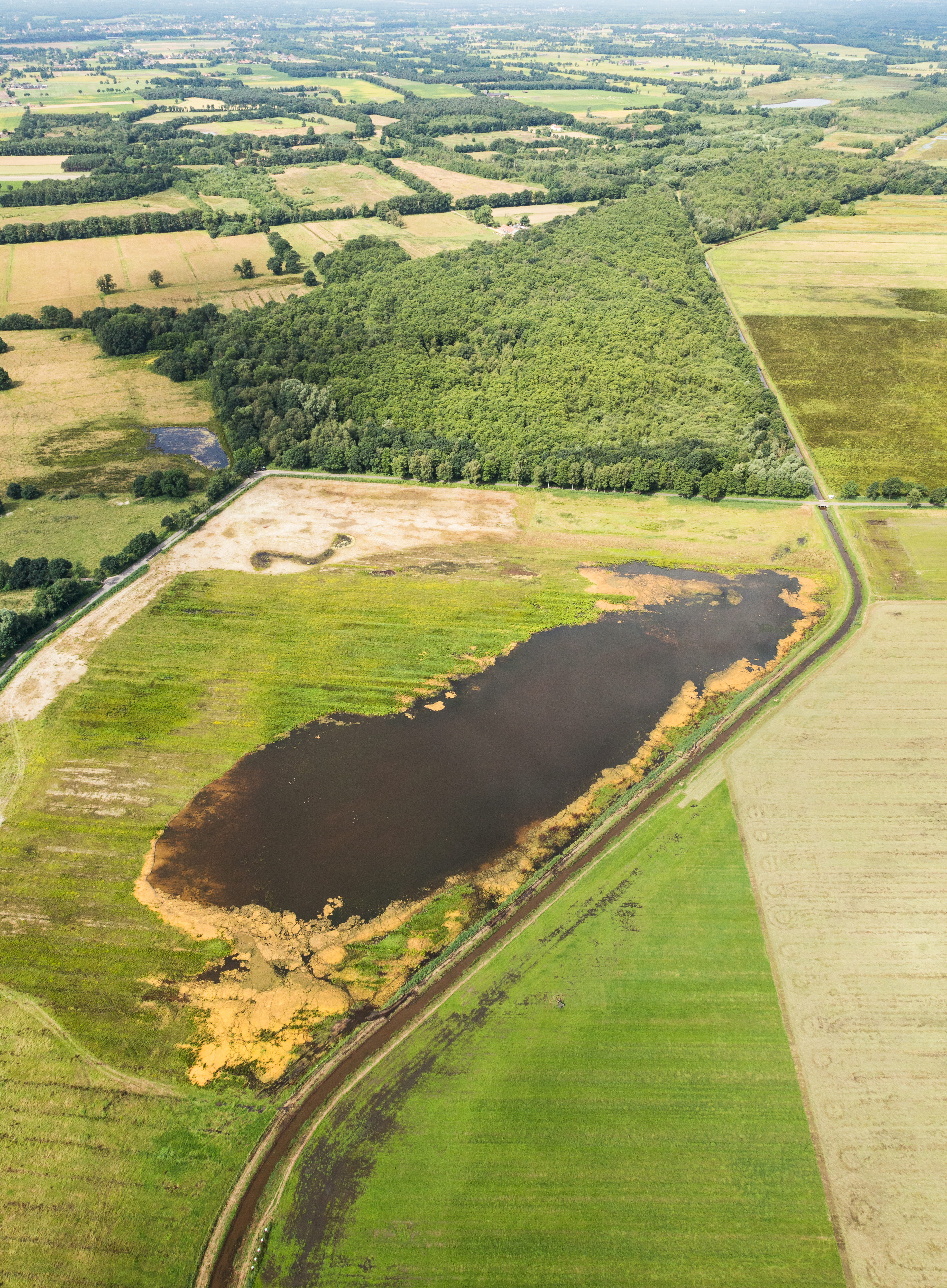 Raamweiden in 2016, foto: Erwin Chritis