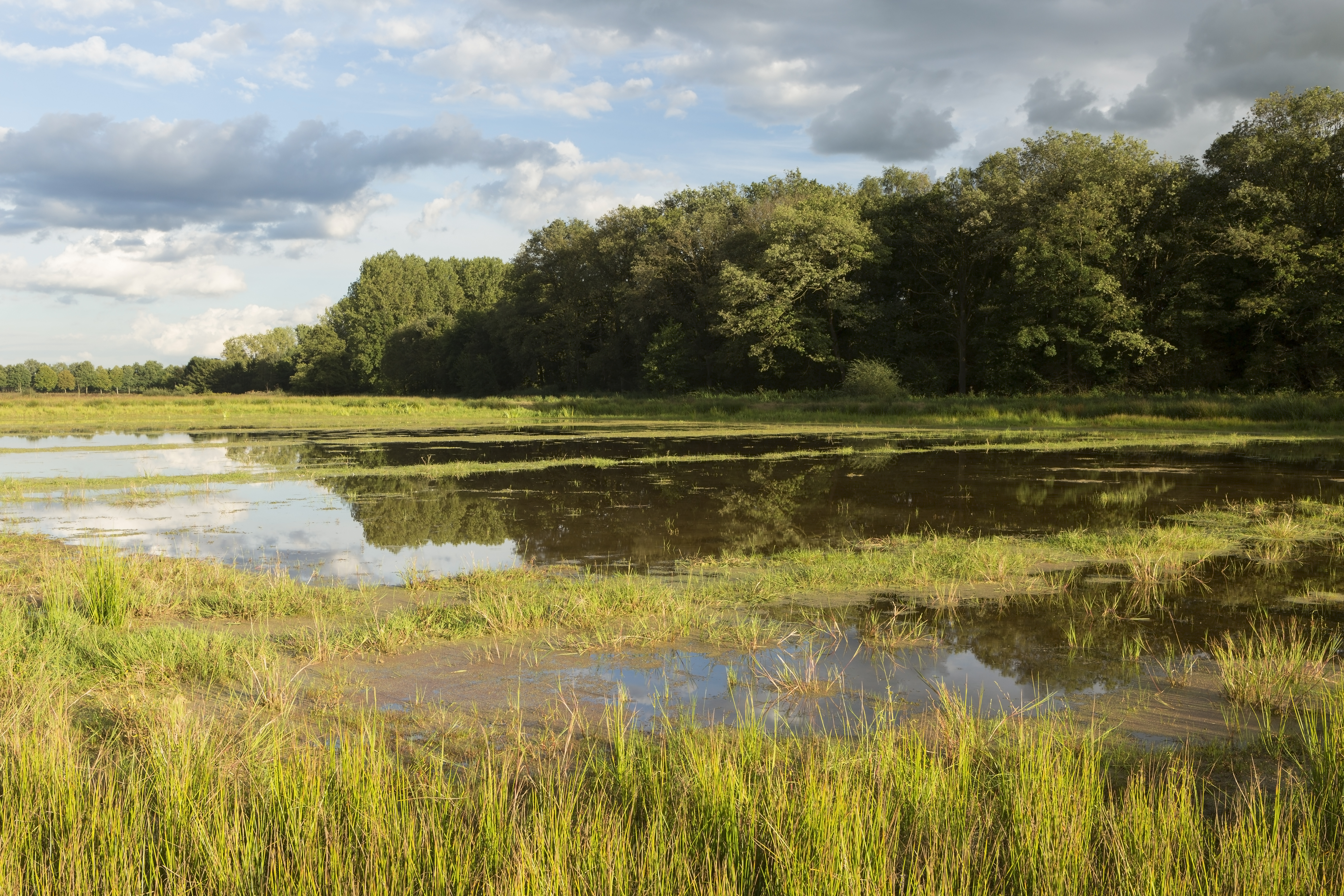 Klimaatbuffer Kempen~Broek
