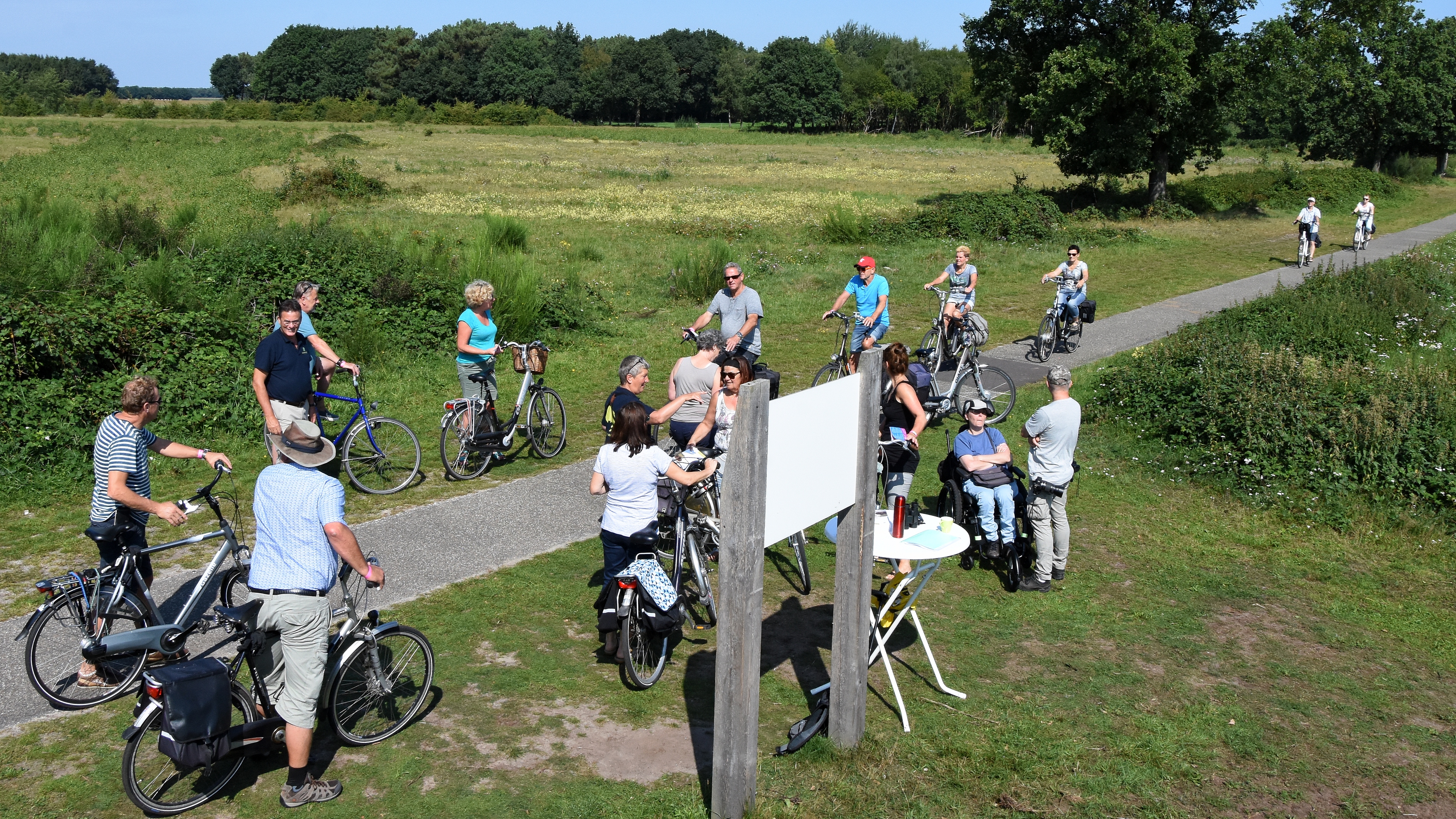Wisenten uitkijkpunt Maashorst, foto: Martien van Dooren