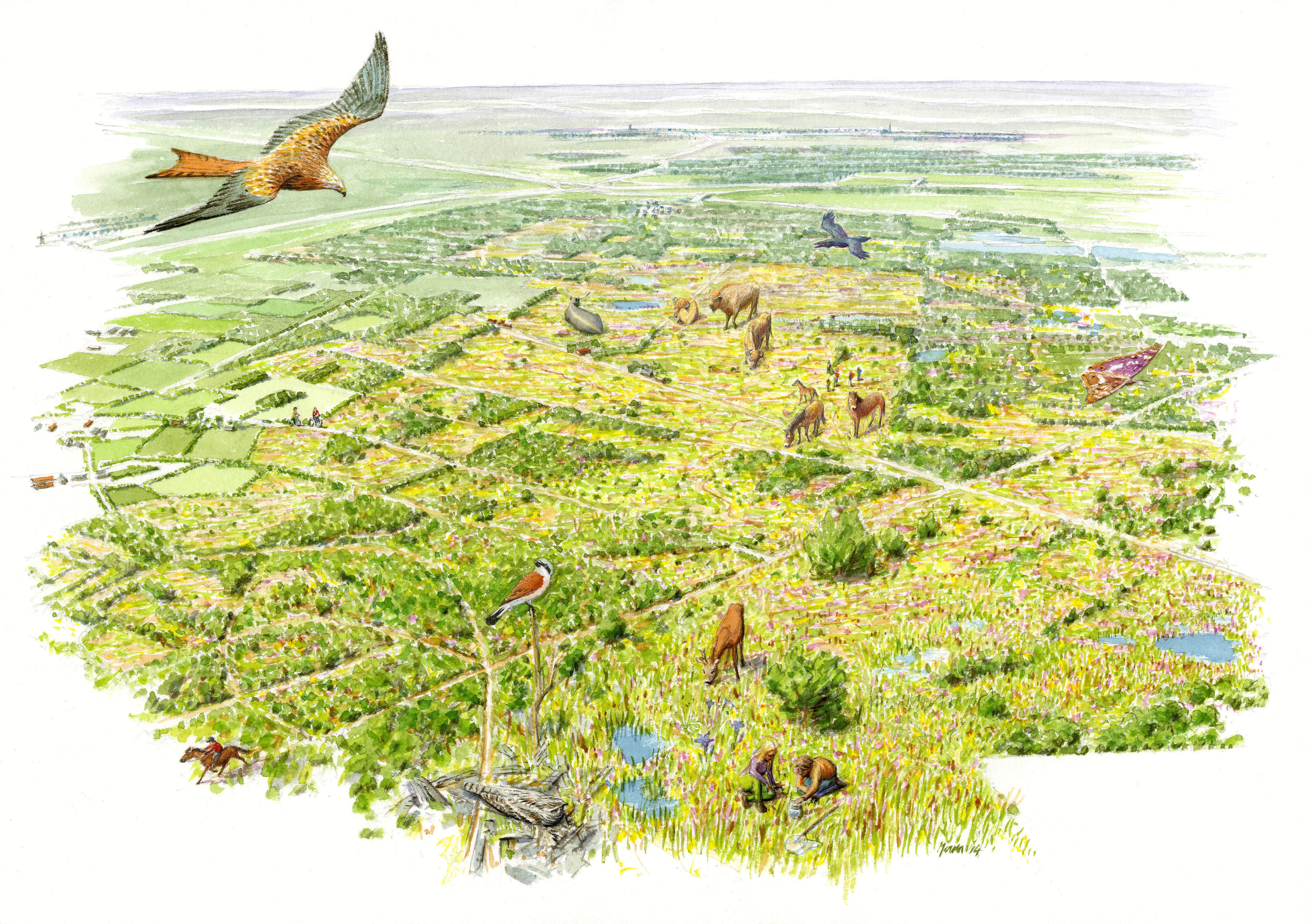 Toekomstbeeld Maashorst