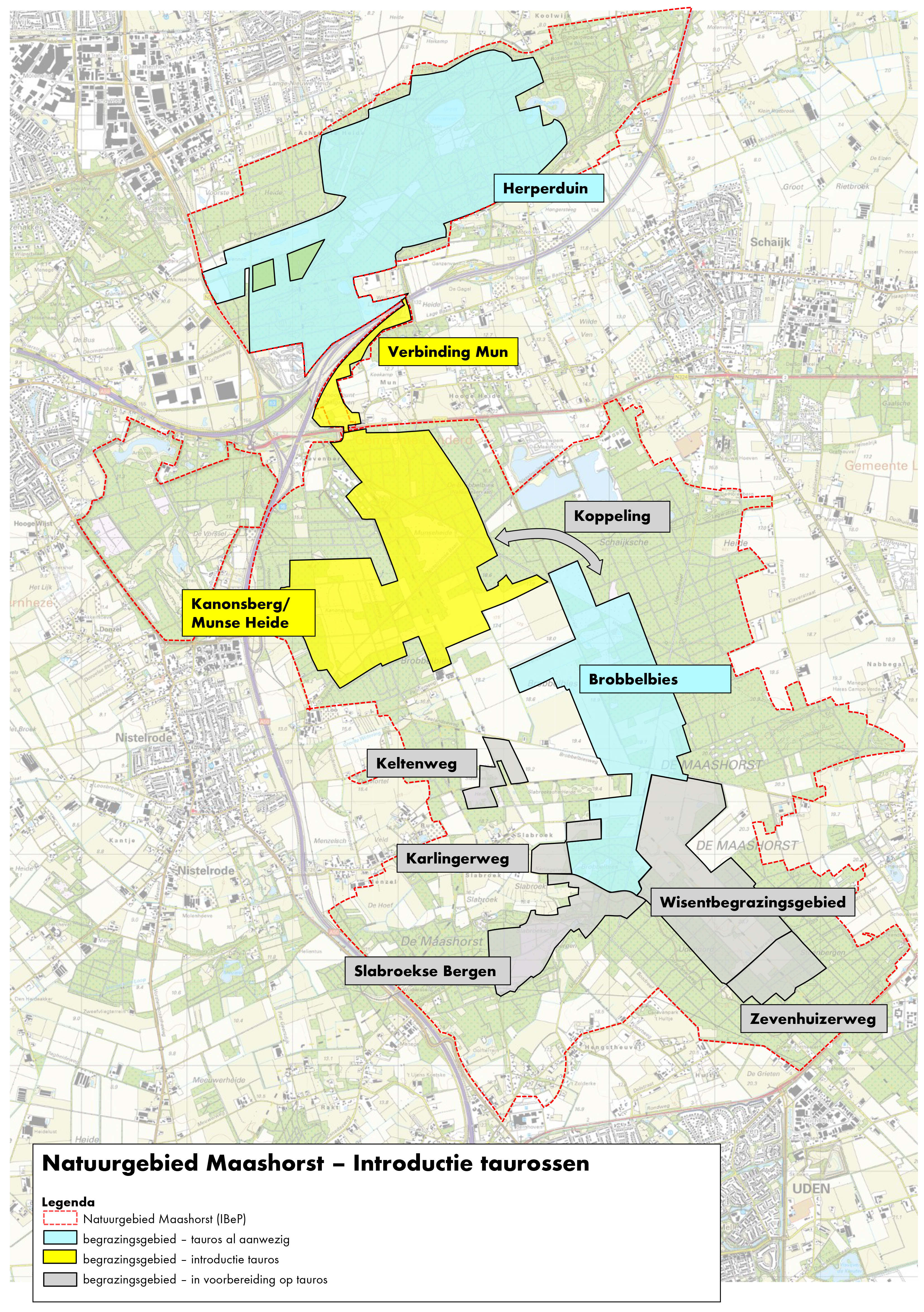 Kaart begrazing taurossen Maashorst