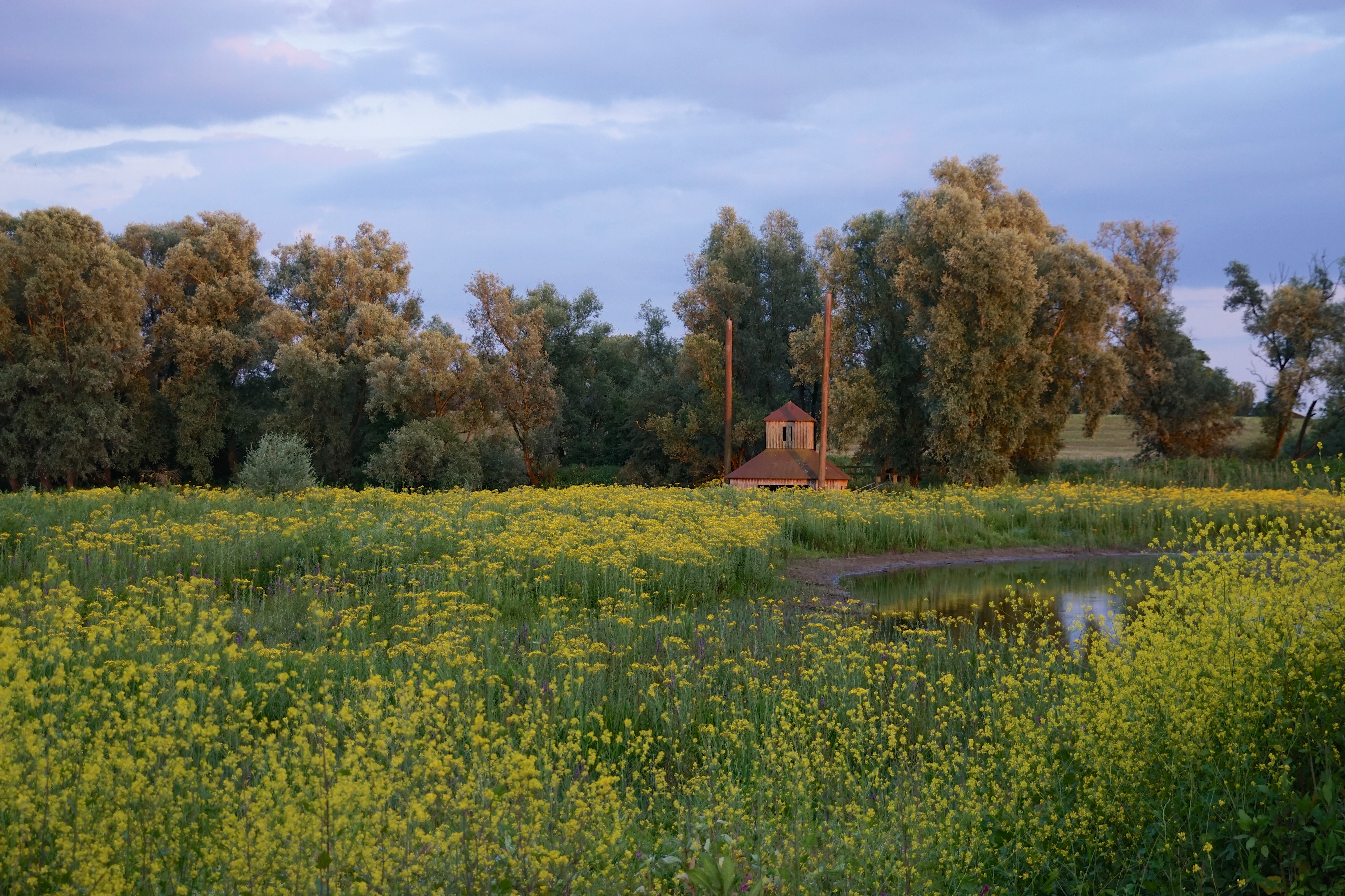 Kijkhuis Millingerwaard