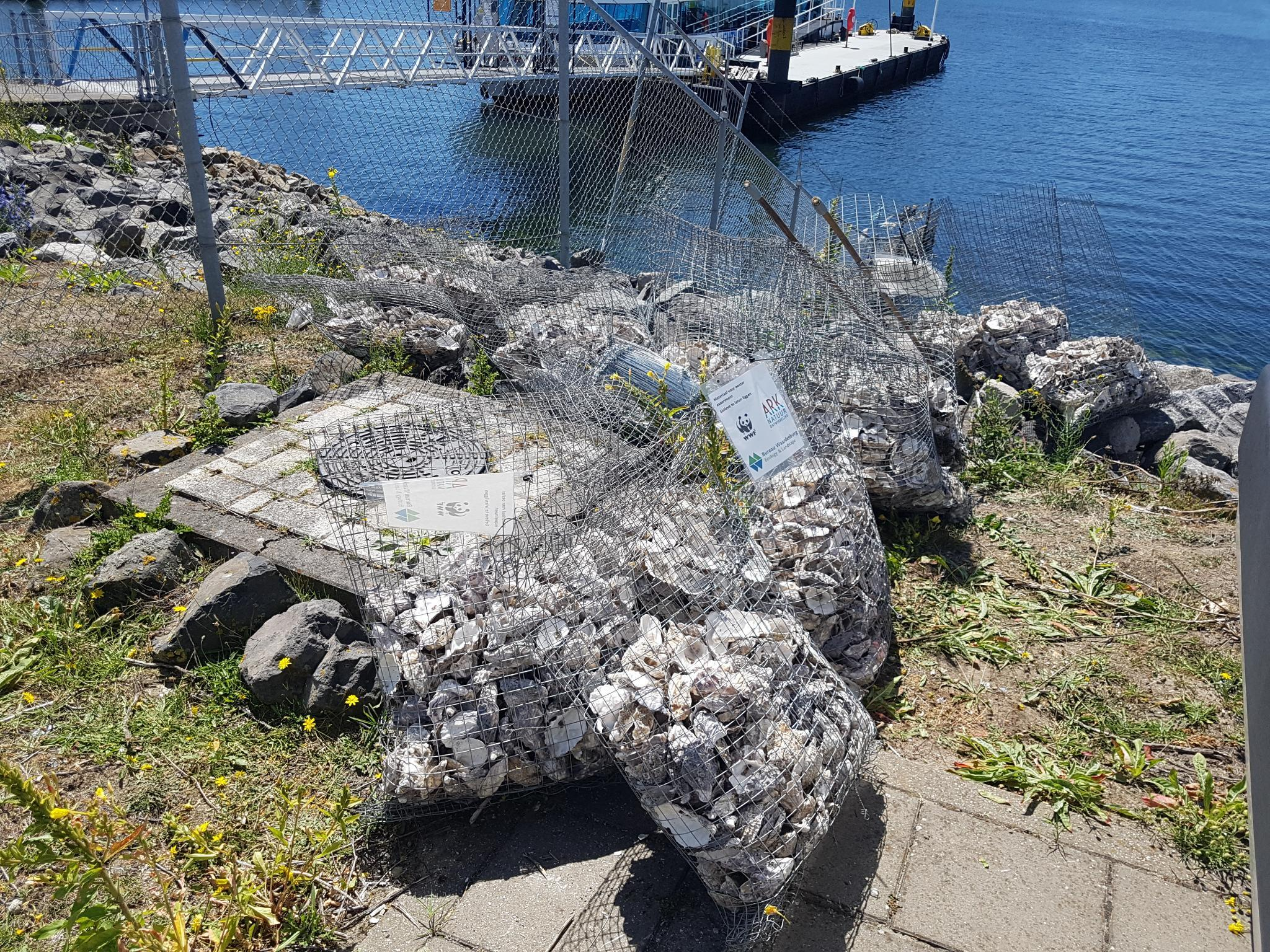 Zakken lege oesterschelpen