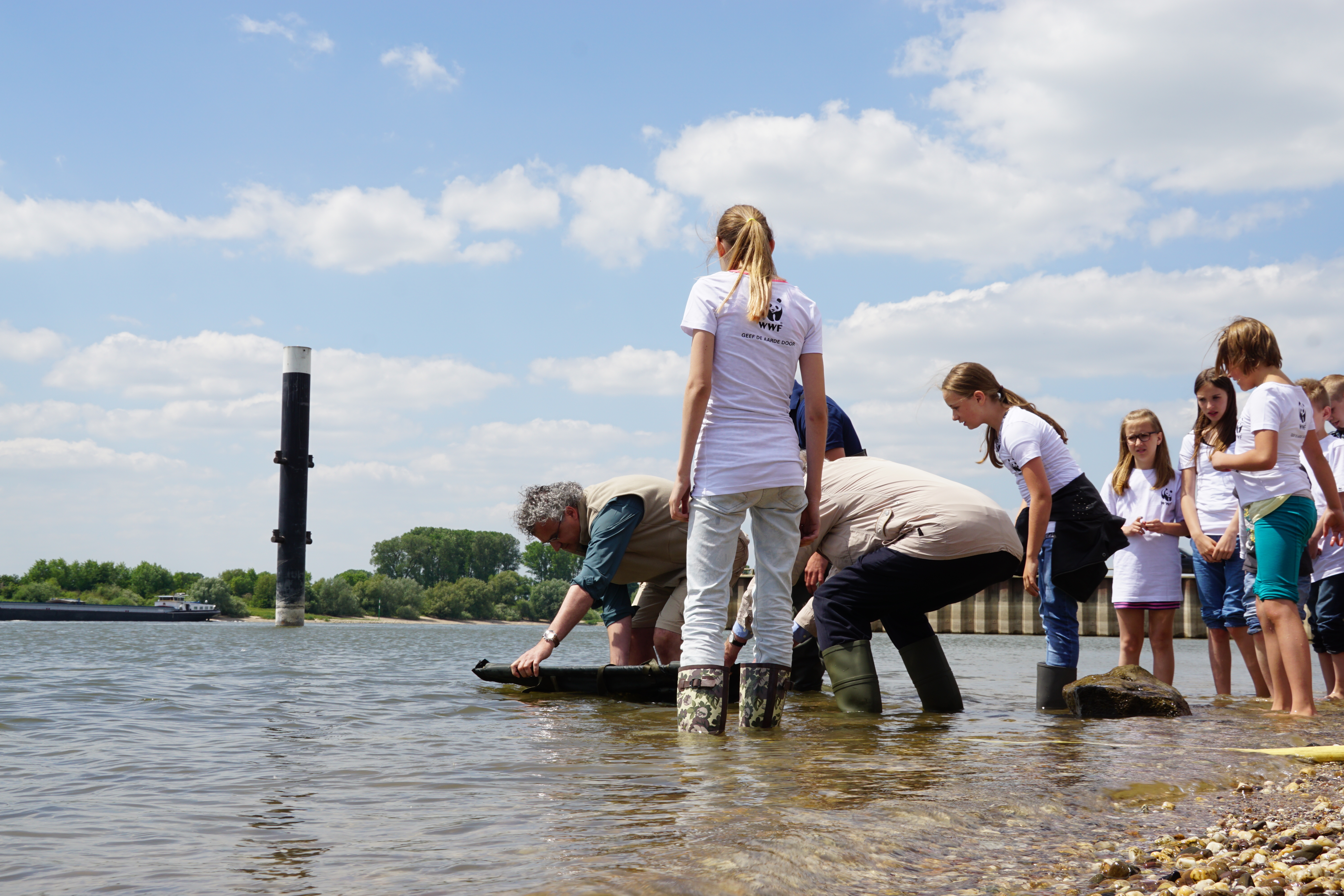 Uitzetten Steur Spijk 10 juni 2015