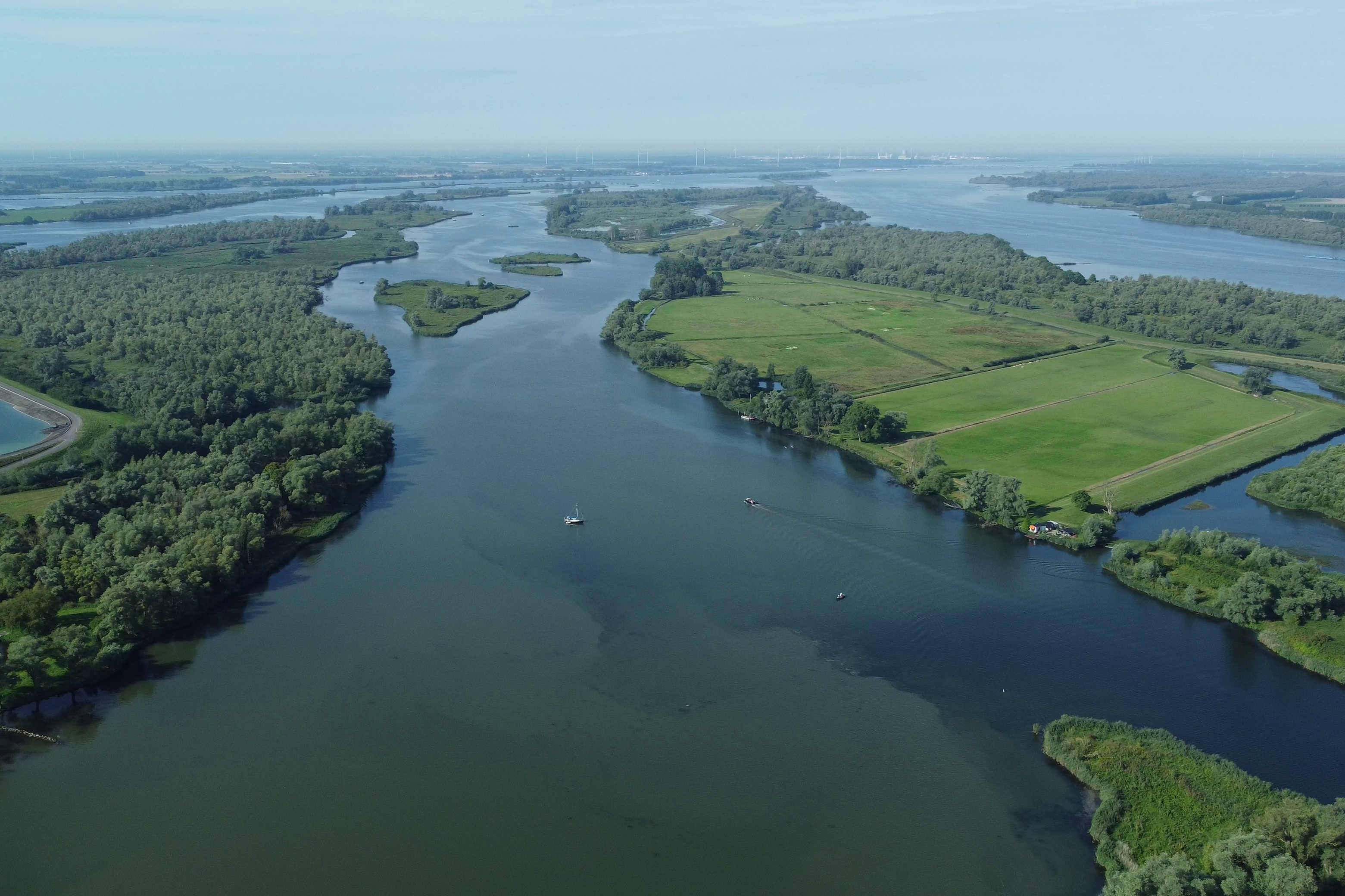 Uitzetgebied de Biesbosch. Foto door Ernst Schrijver. Uitzetgebied de Biesbosch. Foto door Ernst Schrijver.