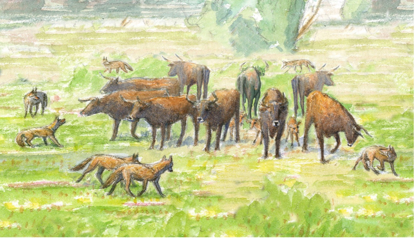 Wildlevende kudde verdediging tegen wolven