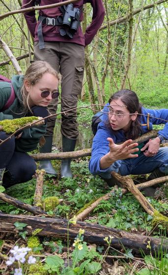 Jongeren op ontdektocht in Het Groene Woud