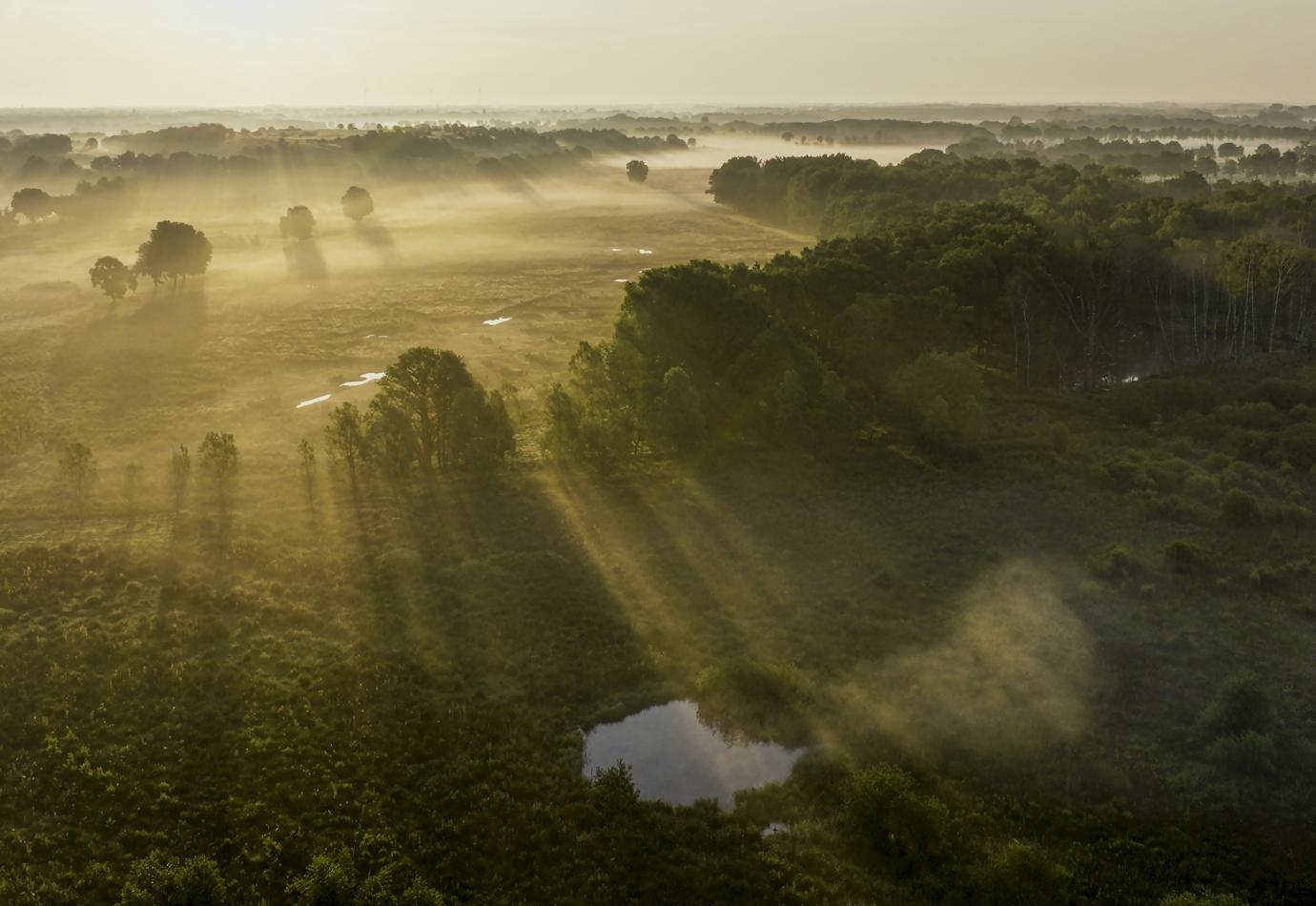 Rewilding in het KempenBroek